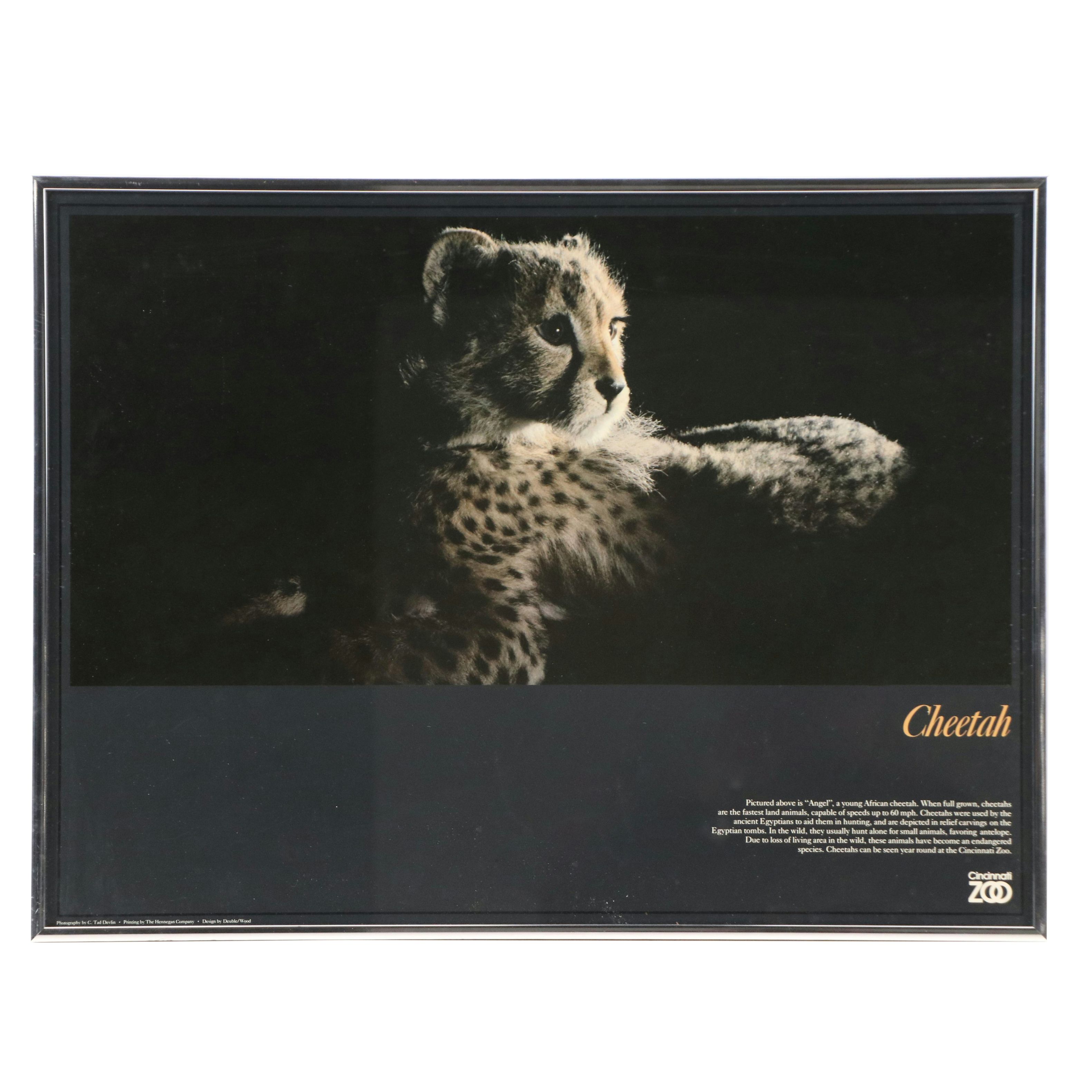 Cincinnati Zoo Posters Depicting Cheetah and Ostrich, Late 20th Century