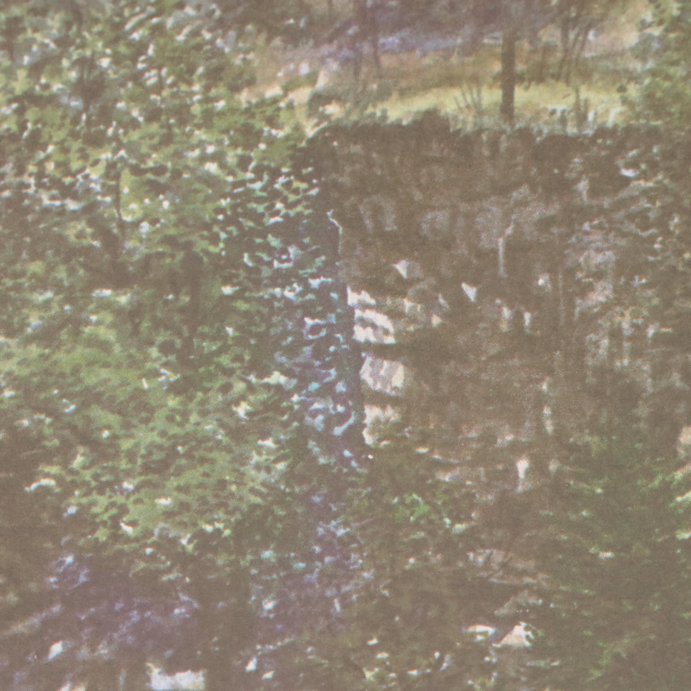 New York Central Railroad Poster After Howard Fogg, Circa 1960