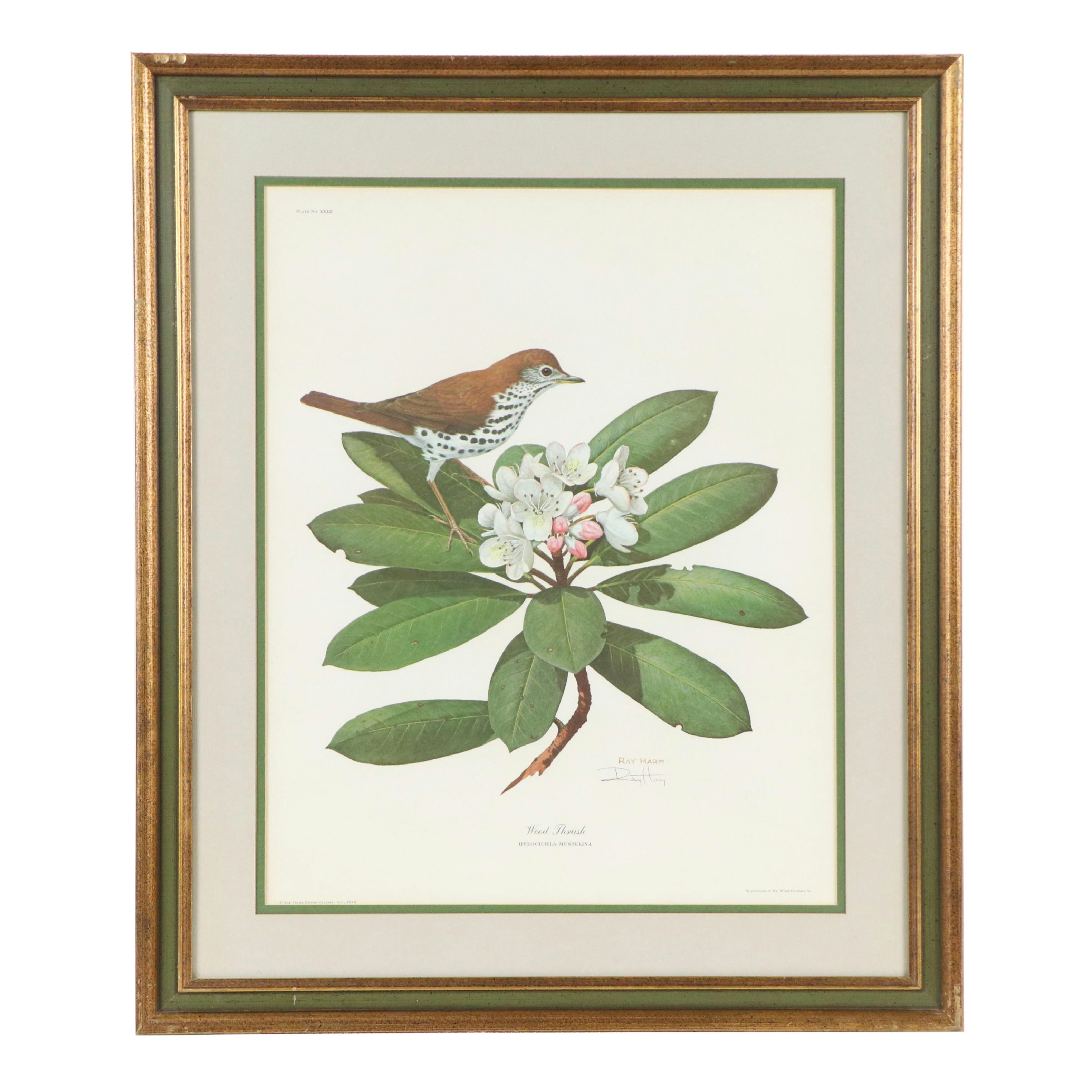 Ray Harm Offset Lithograph "Wood Thrush"