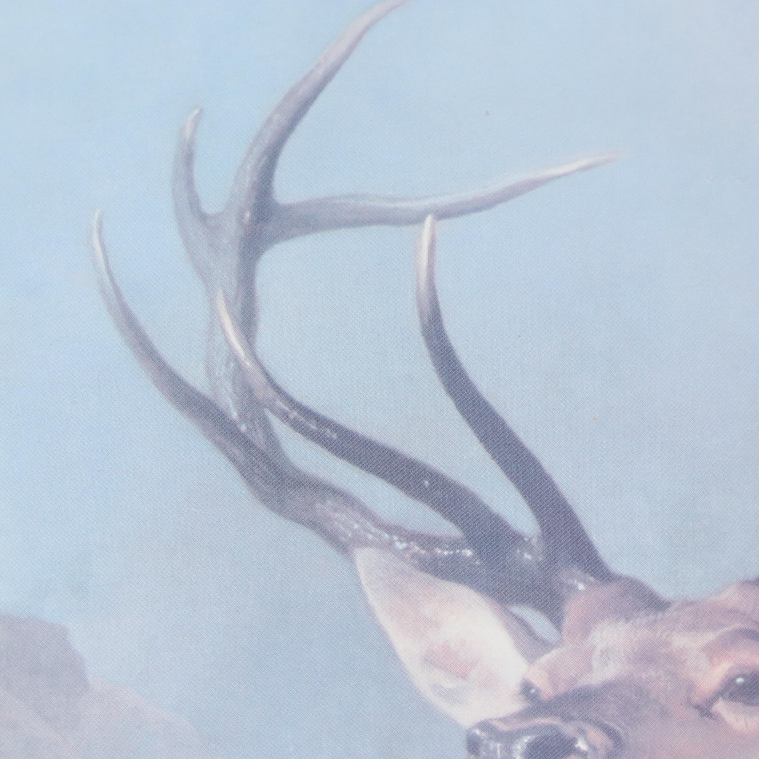 Offset Lithograph After Sir Landseer "Monarch of the Glen," Late 20th Century