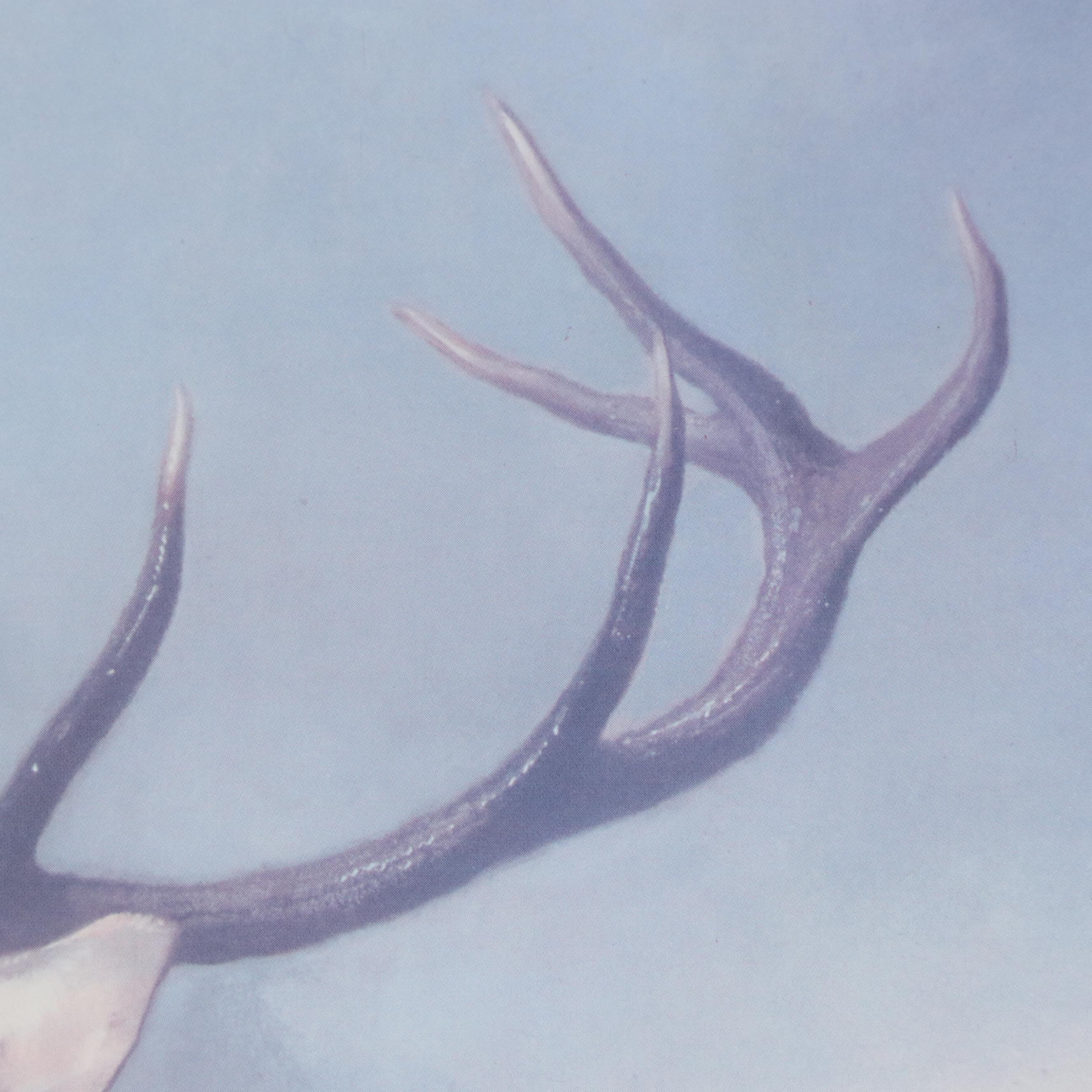 Offset Lithograph After Sir Landseer "Monarch of the Glen," Late 20th Century