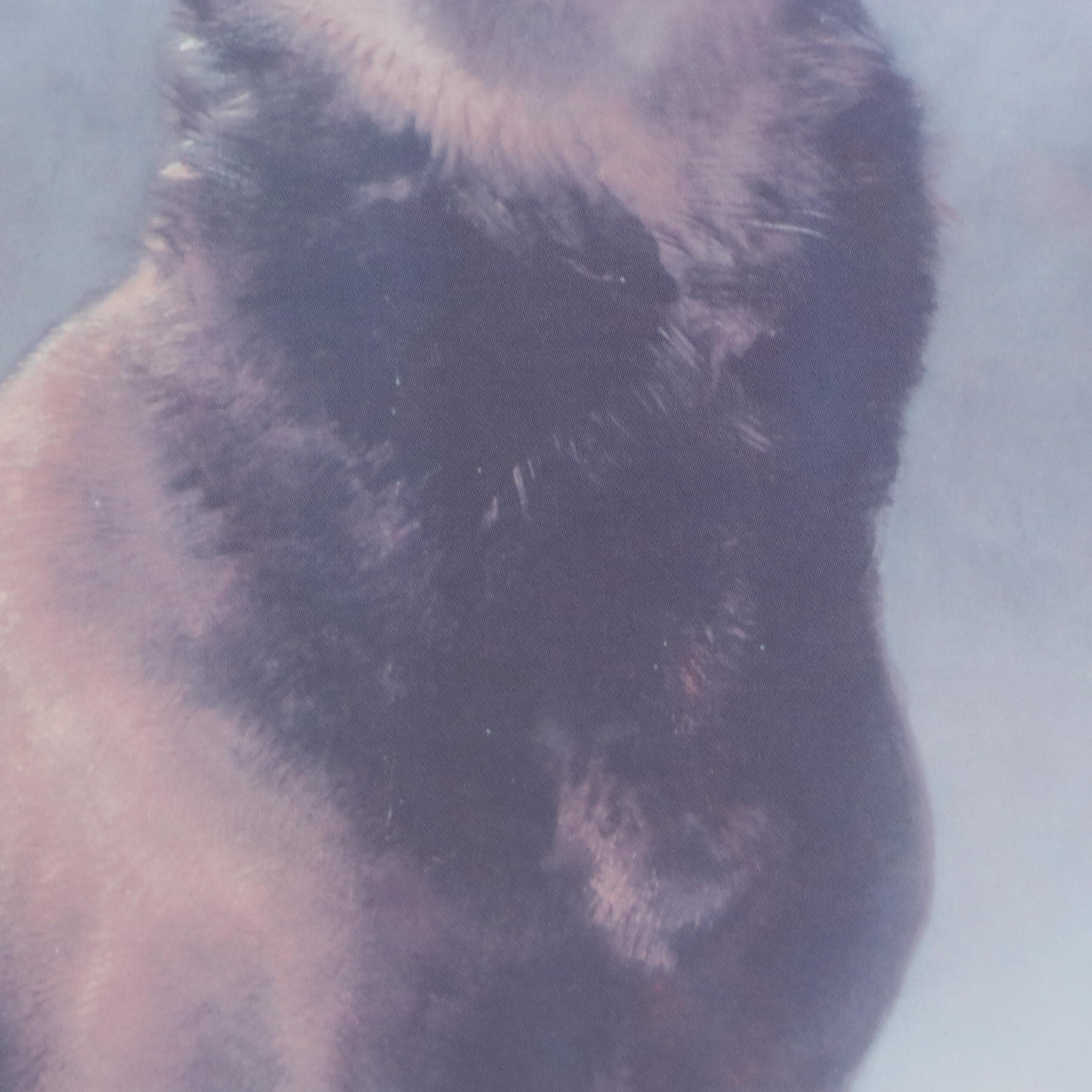 Offset Lithograph After Sir Landseer "Monarch of the Glen," Late 20th Century