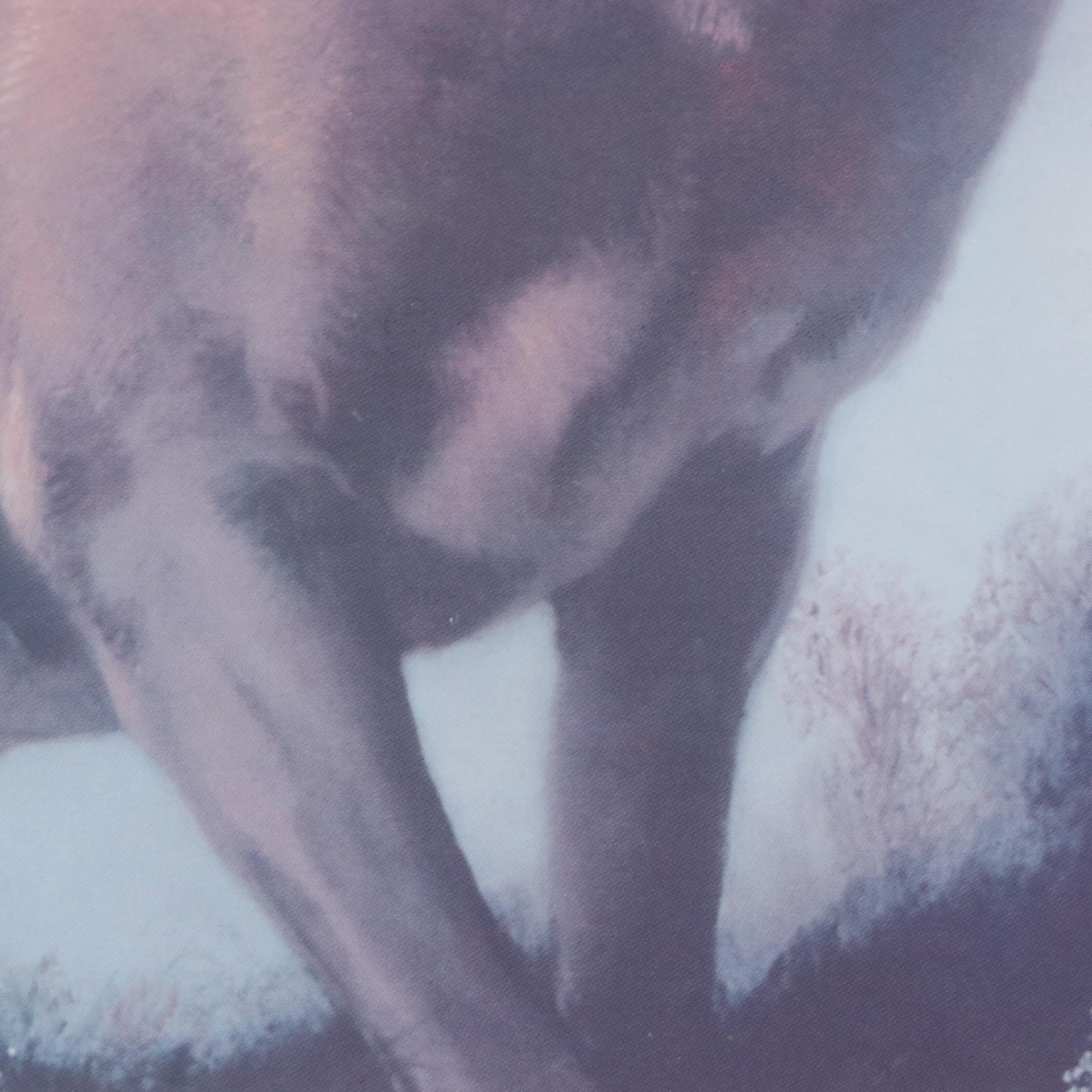 Offset Lithograph After Sir Landseer "Monarch of the Glen," Late 20th Century