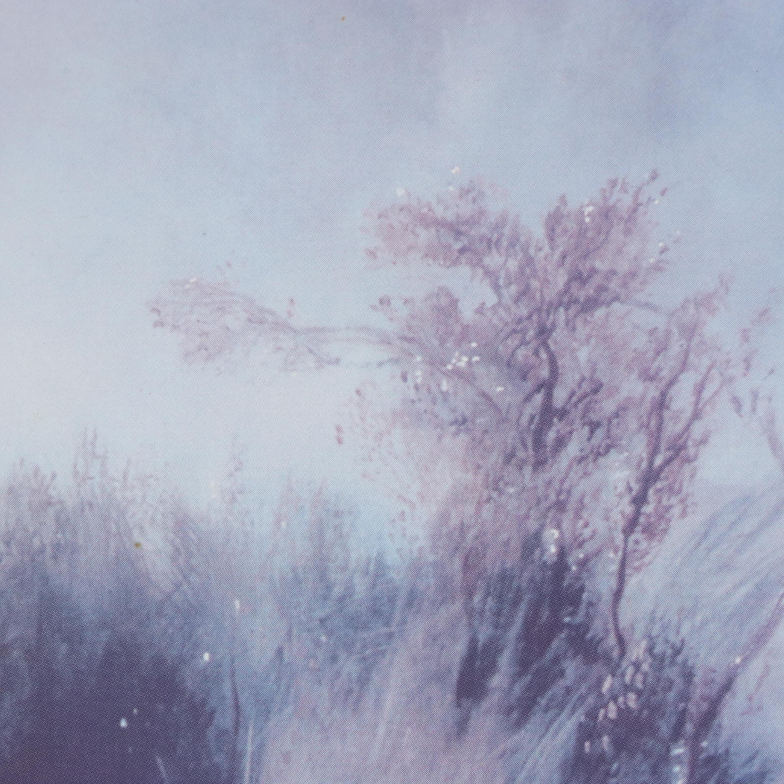 Offset Lithograph After Sir Landseer "Monarch of the Glen," Late 20th Century