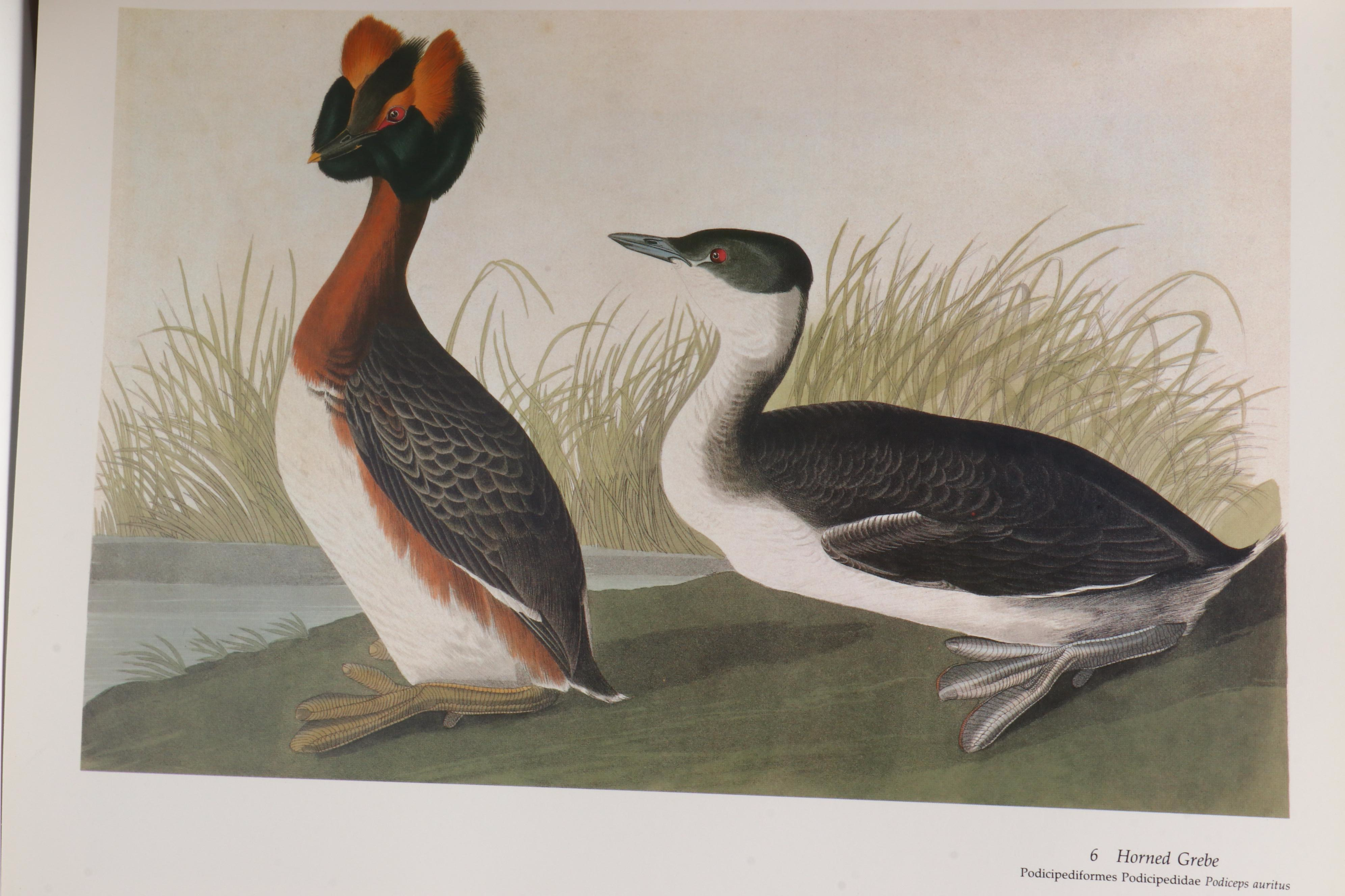 Signed Limited Edition Baby Elephant Folio "Audubon's Birds of America," 1981