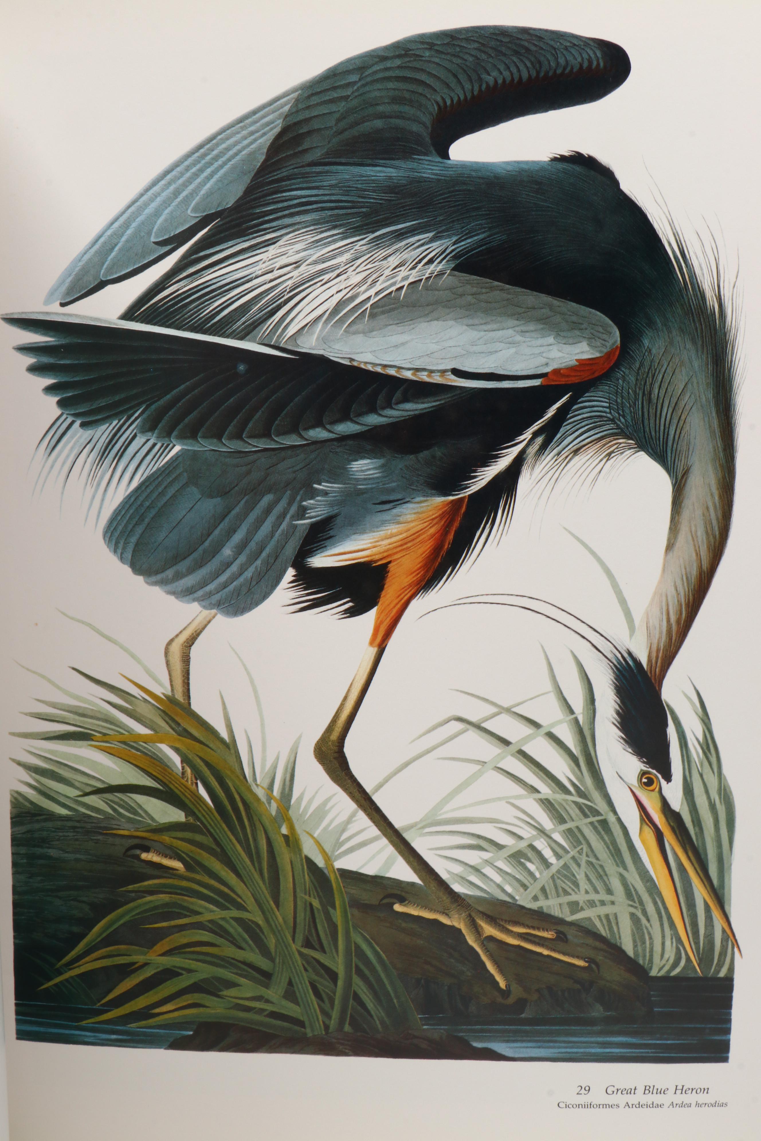 Signed Limited Edition Baby Elephant Folio "Audubon's Birds of America," 1981