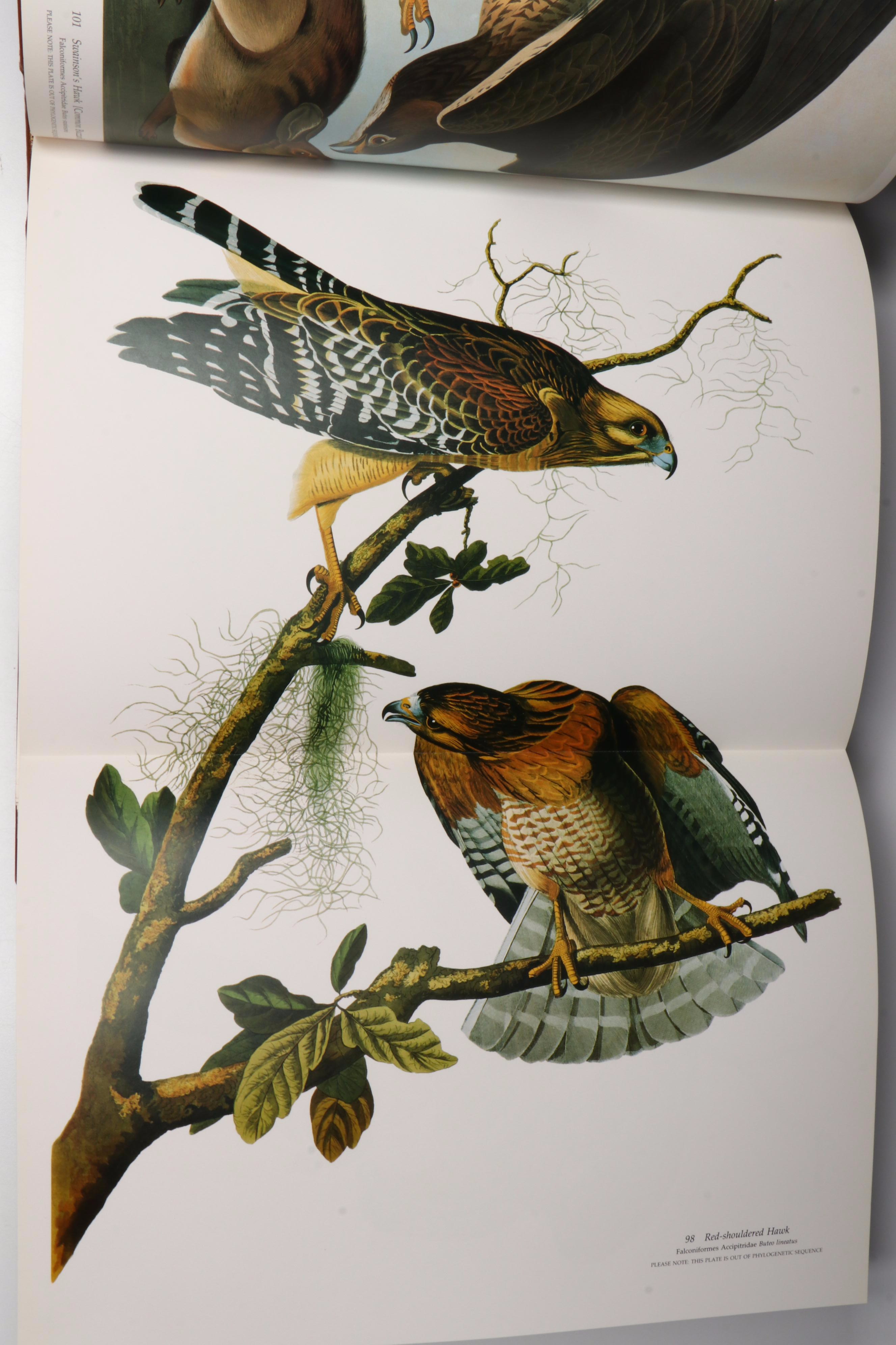 Signed Limited Edition Baby Elephant Folio "Audubon's Birds of America," 1981
