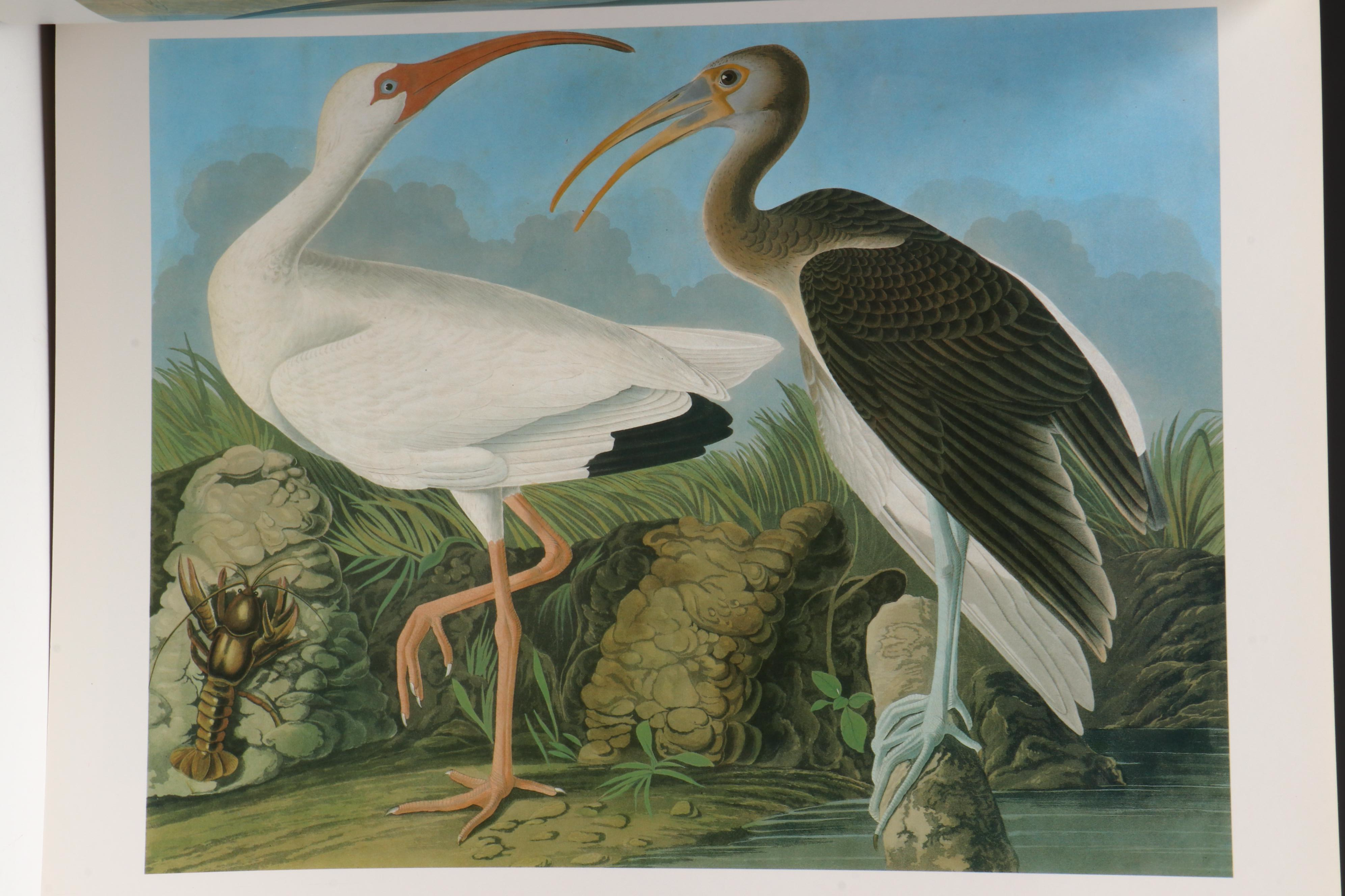 Signed Limited Edition Baby Elephant Folio "Audubon's Birds of America," 1981