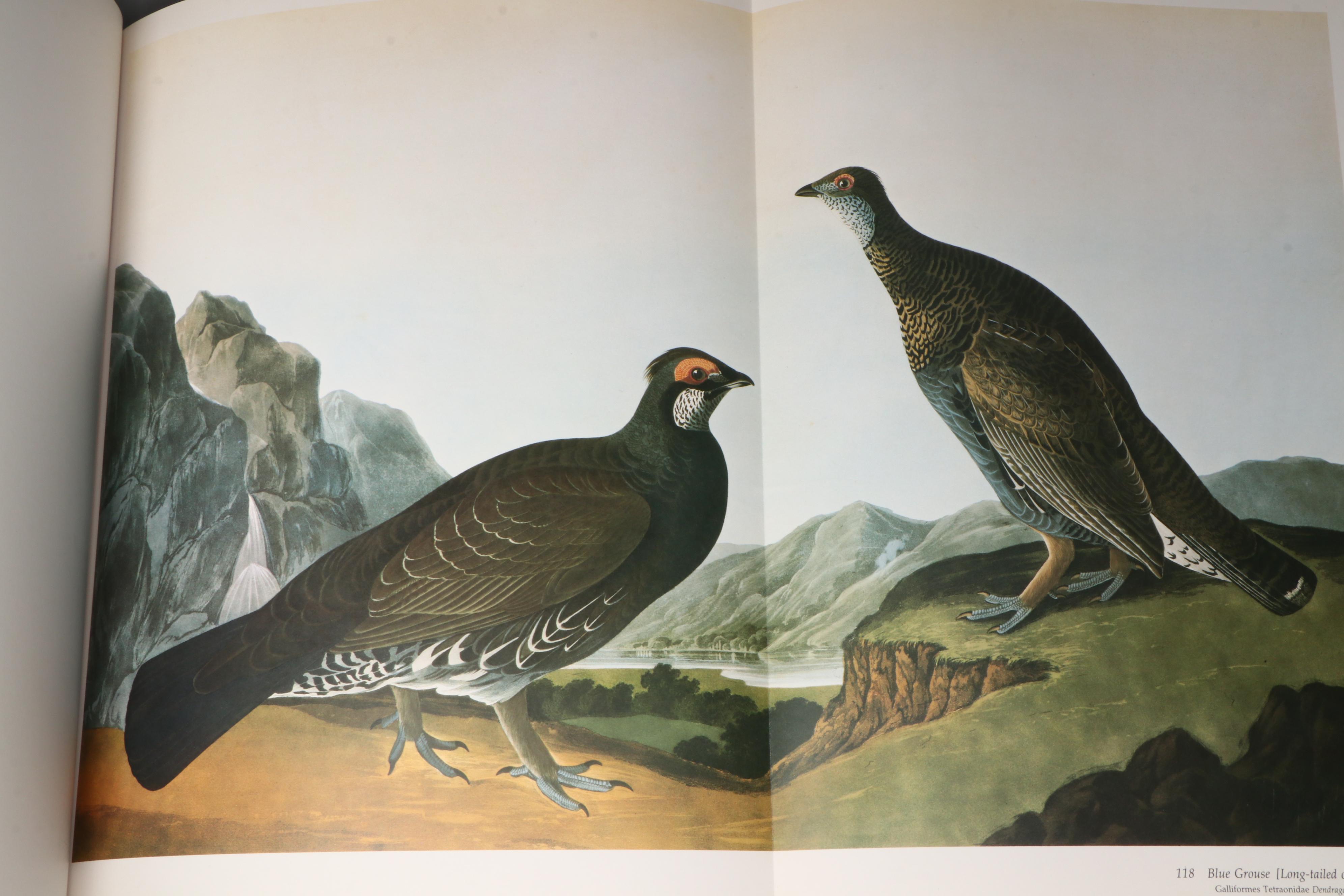 Signed Limited Edition Baby Elephant Folio "Audubon's Birds of America," 1981