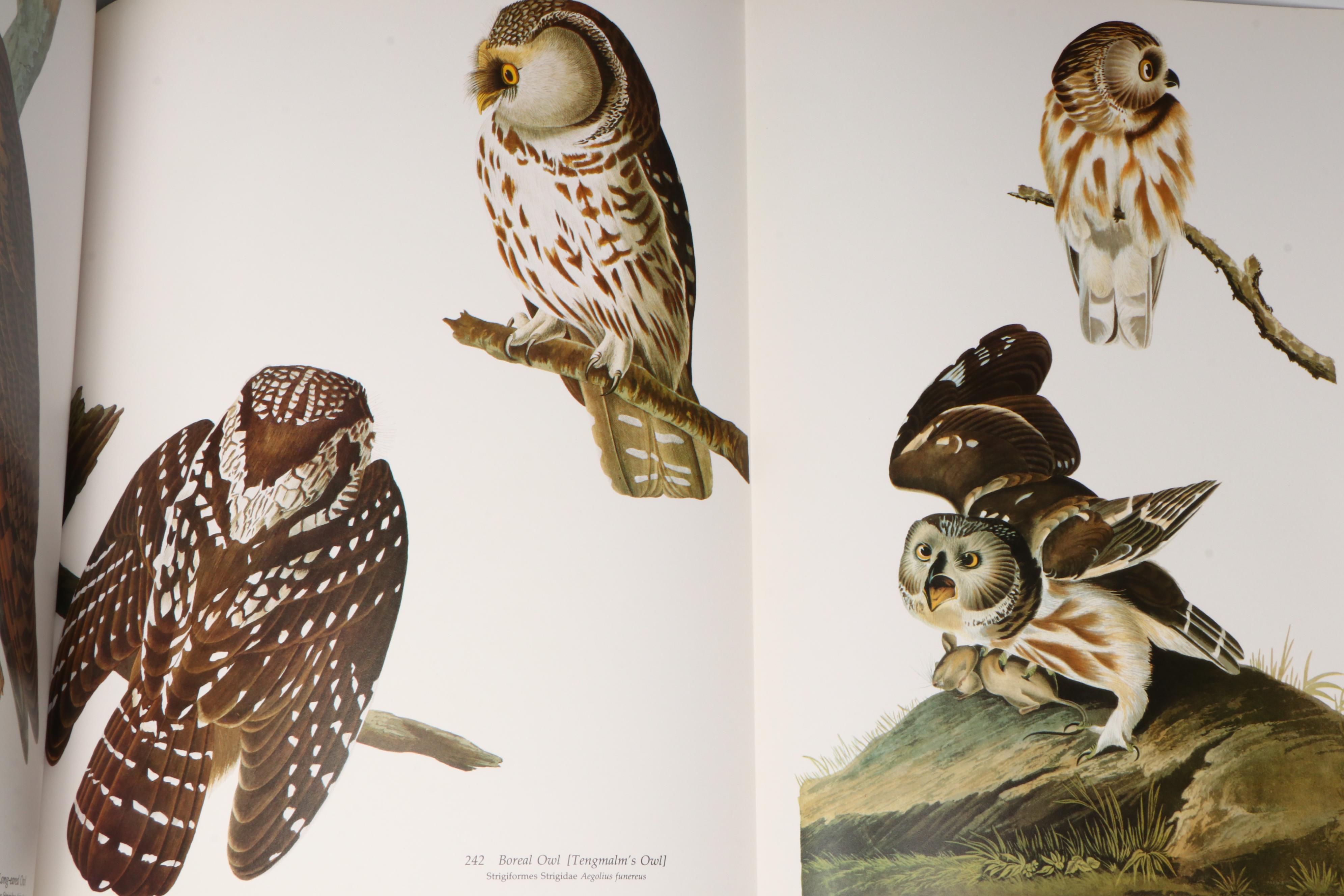 Signed Limited Edition Baby Elephant Folio "Audubon's Birds of America," 1981