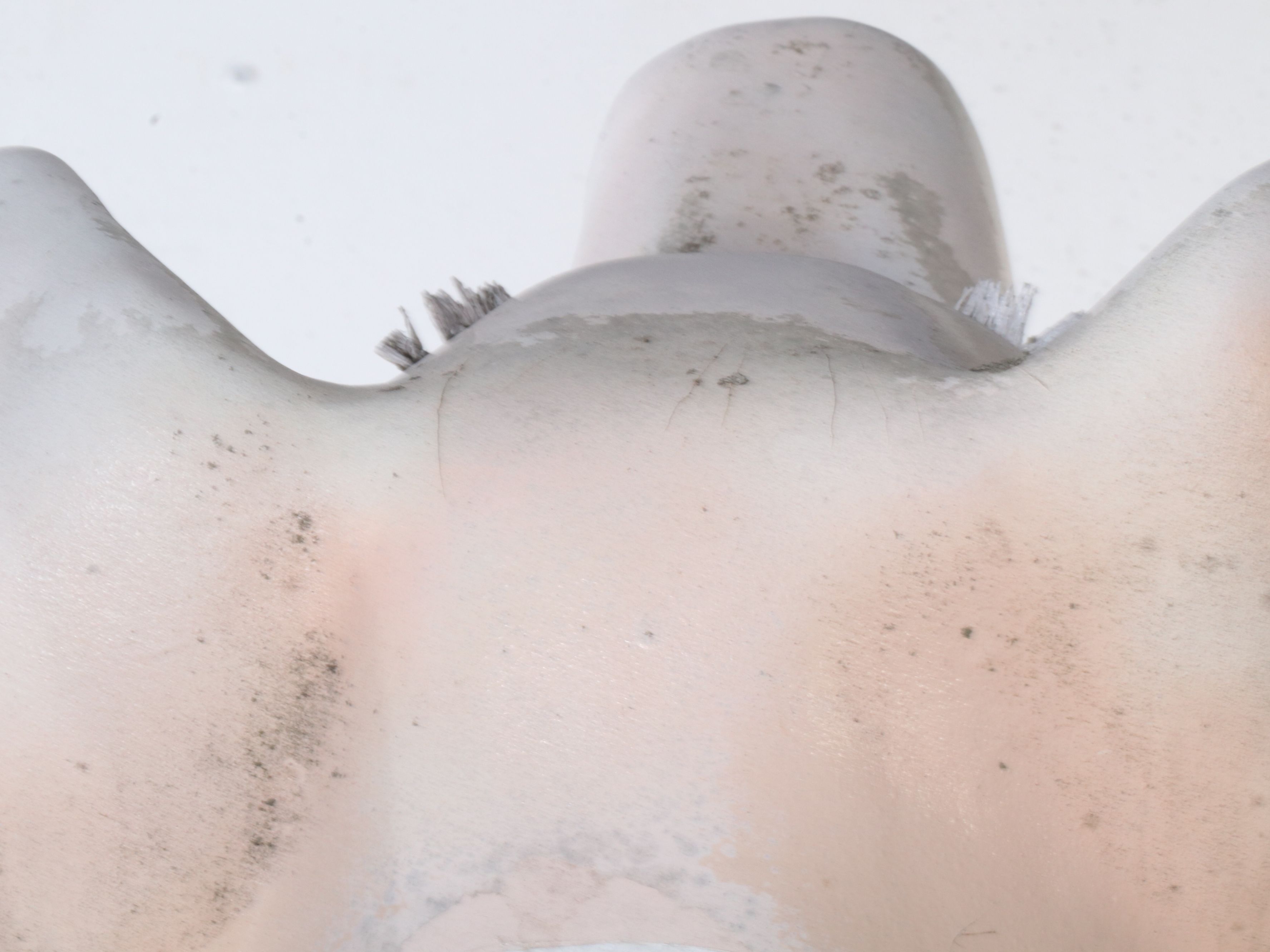 Cincinnati Big Pig Gig Style Flying Pig Statue with Business Attire