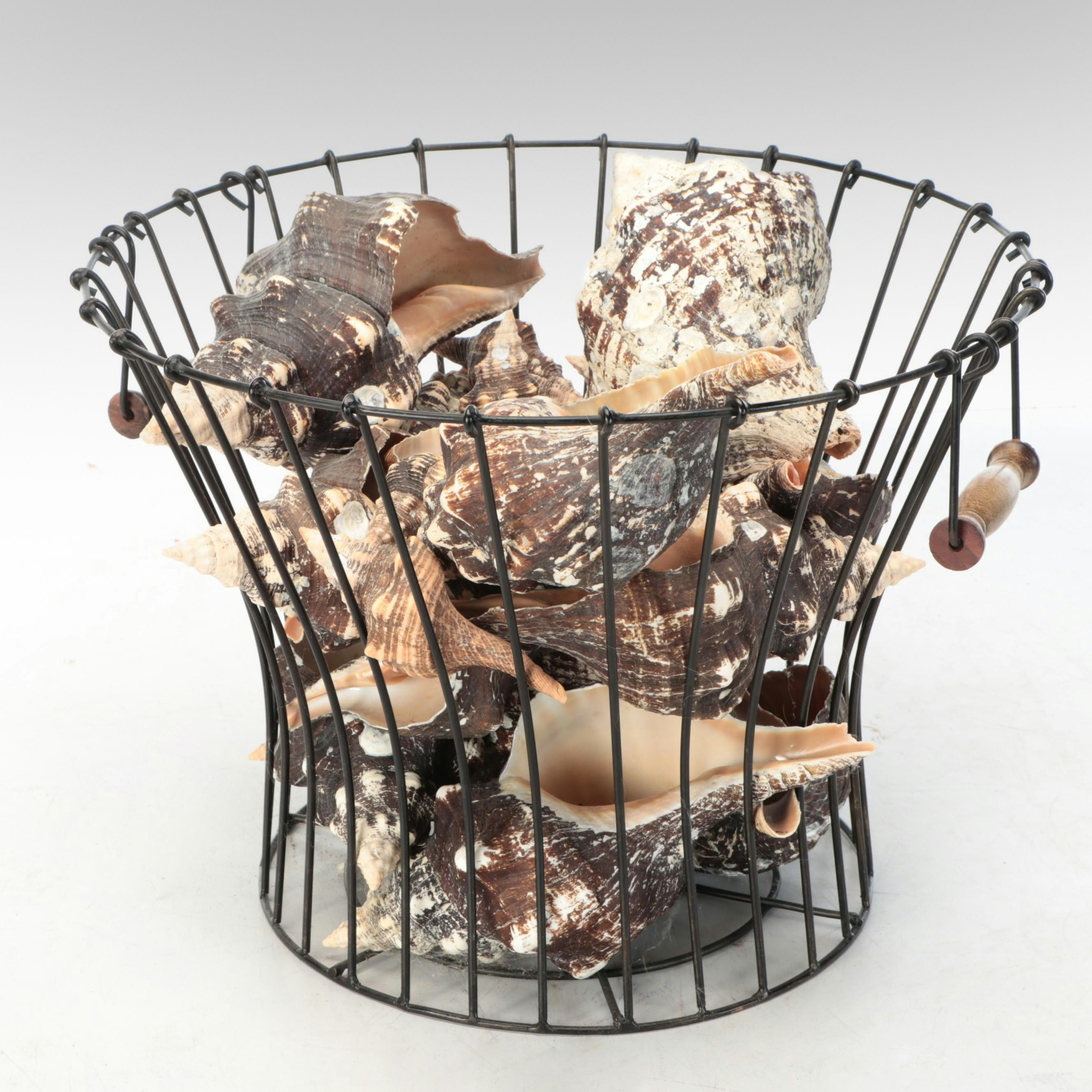 Rustic Style Handled Wire Basket with Horse Conch Shells