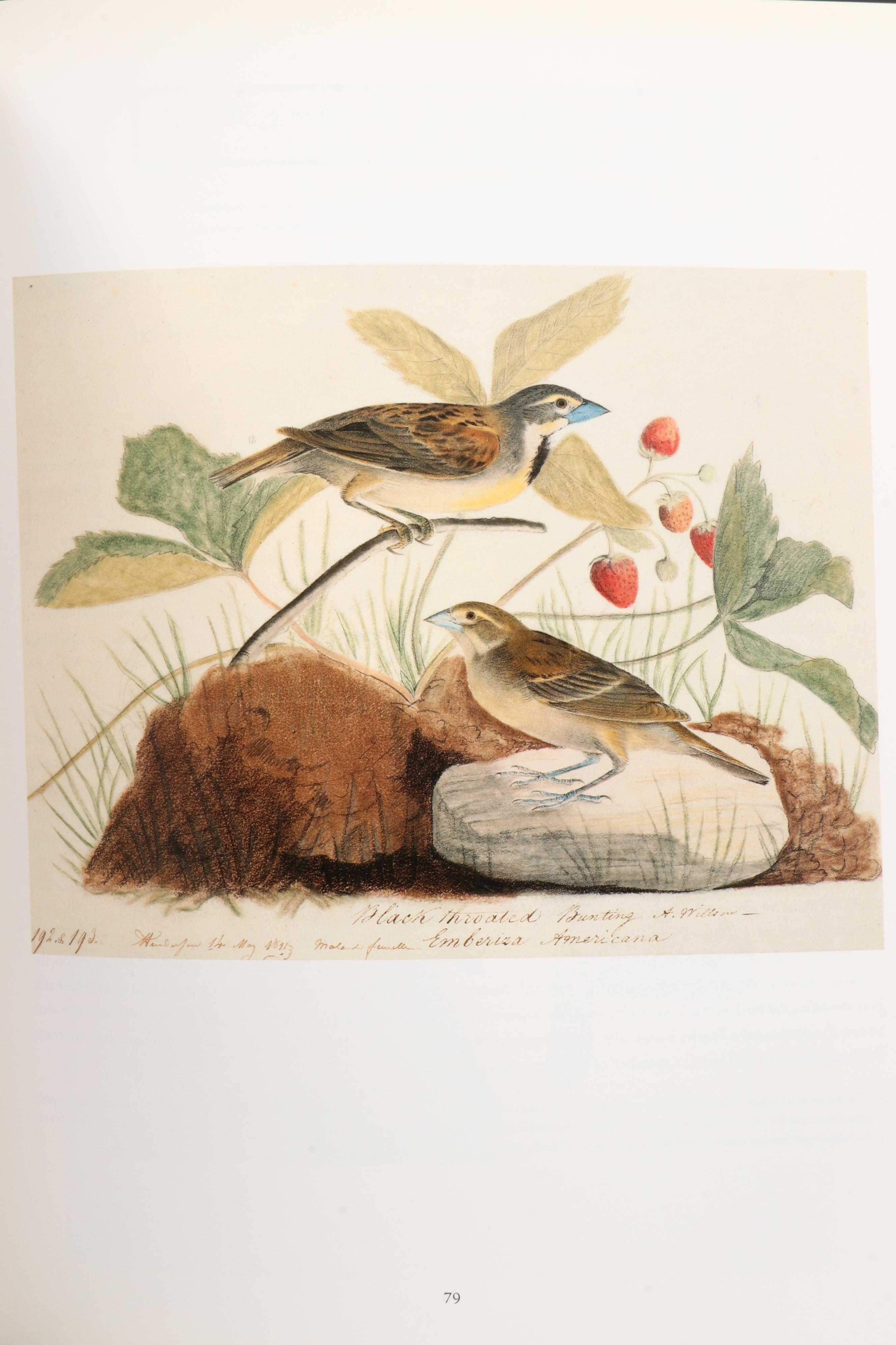 First Printing "John James Audubon: Watercolors for The Birds of America," 1993