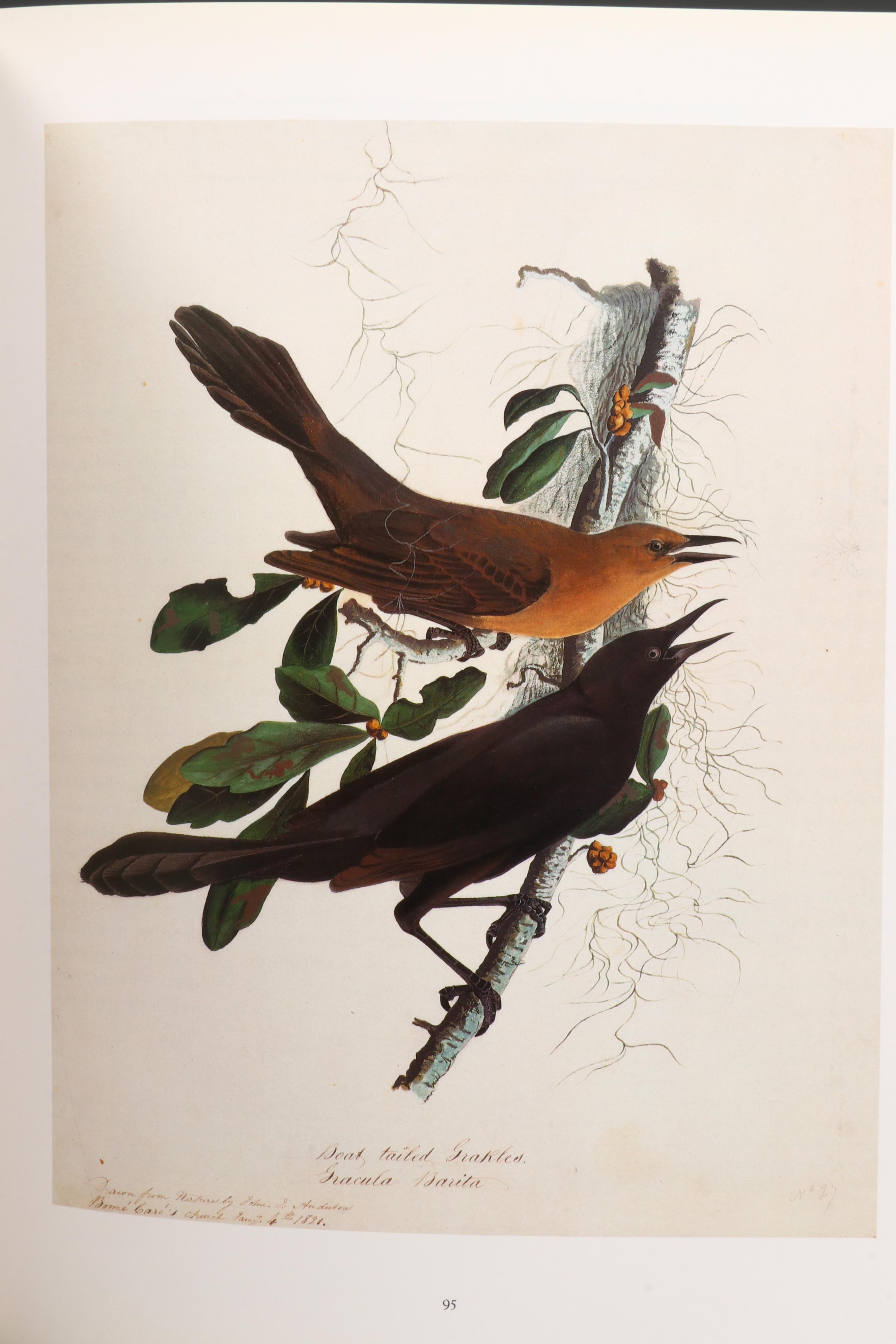 First Printing "John James Audubon: Watercolors for The Birds of America," 1993
