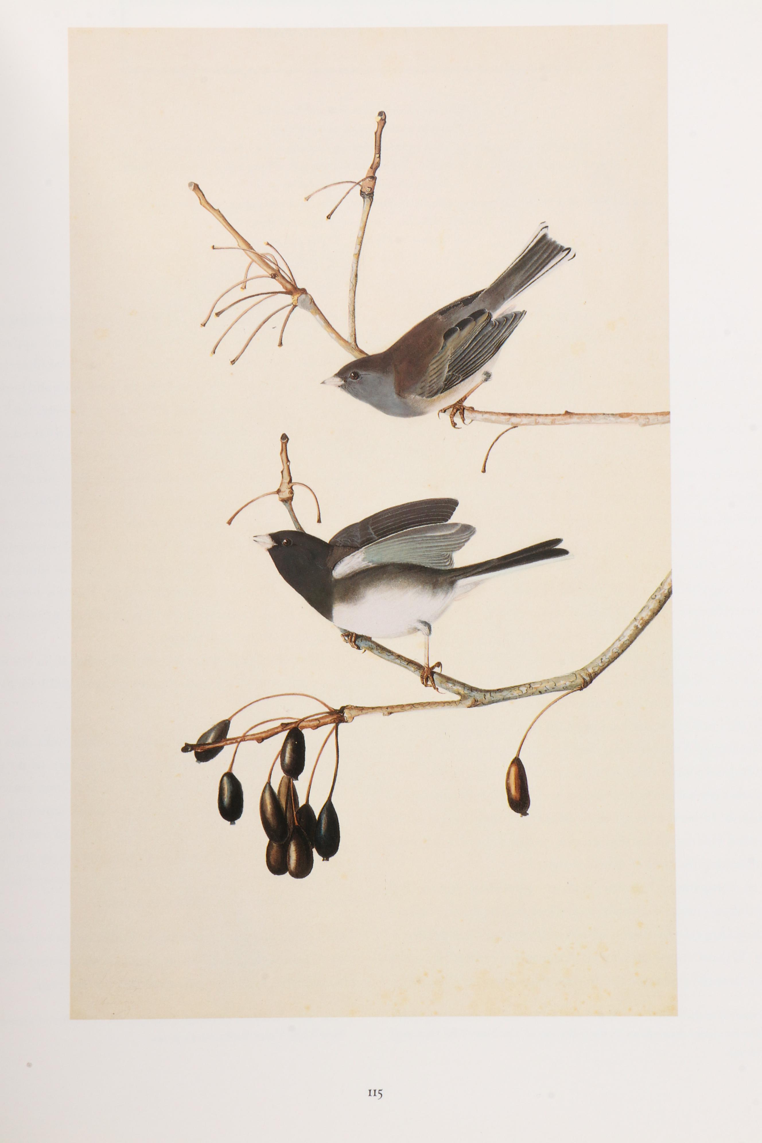 First Printing "John James Audubon: Watercolors for The Birds of America," 1993