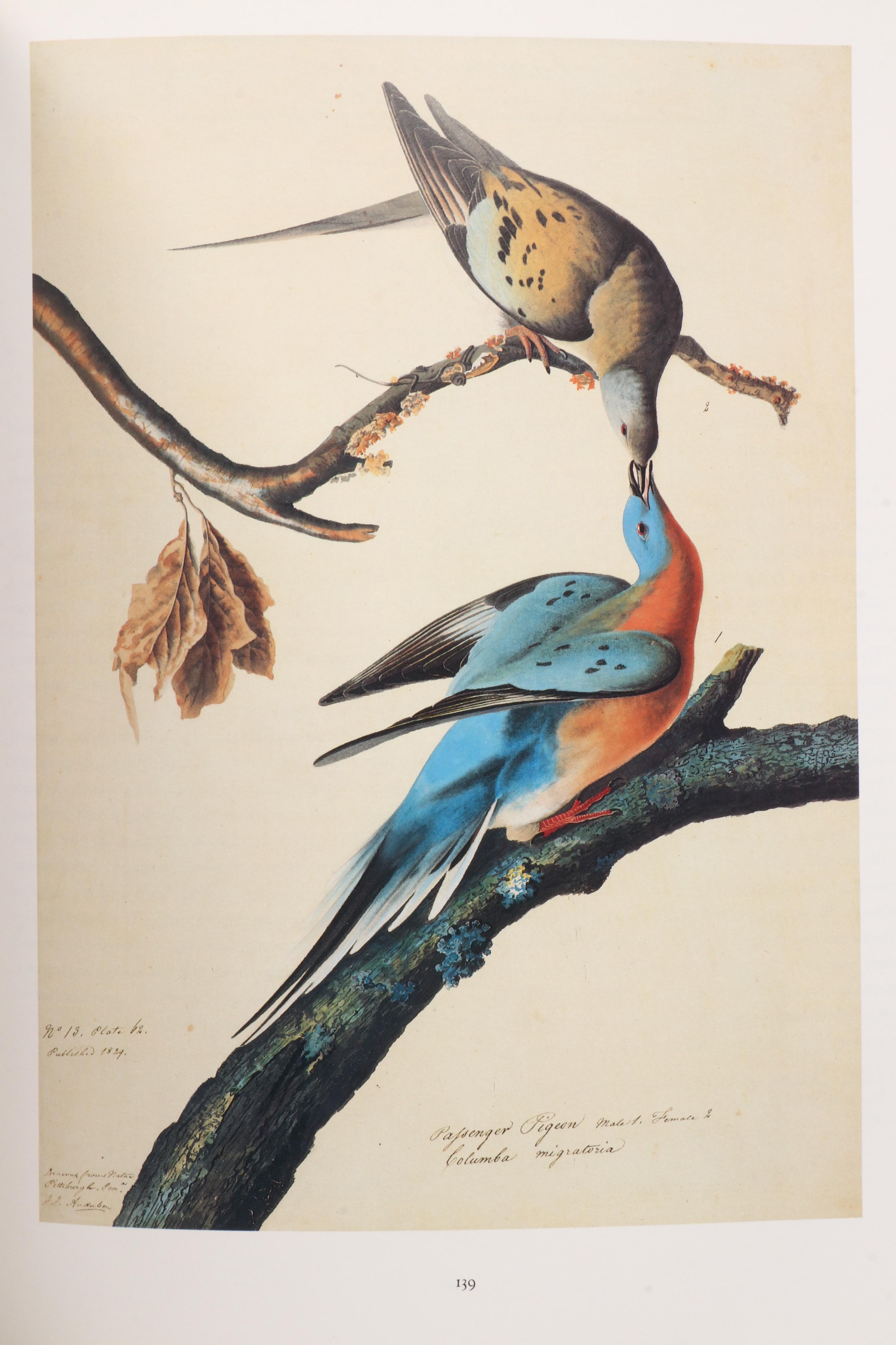 First Printing "John James Audubon: Watercolors for The Birds of America," 1993