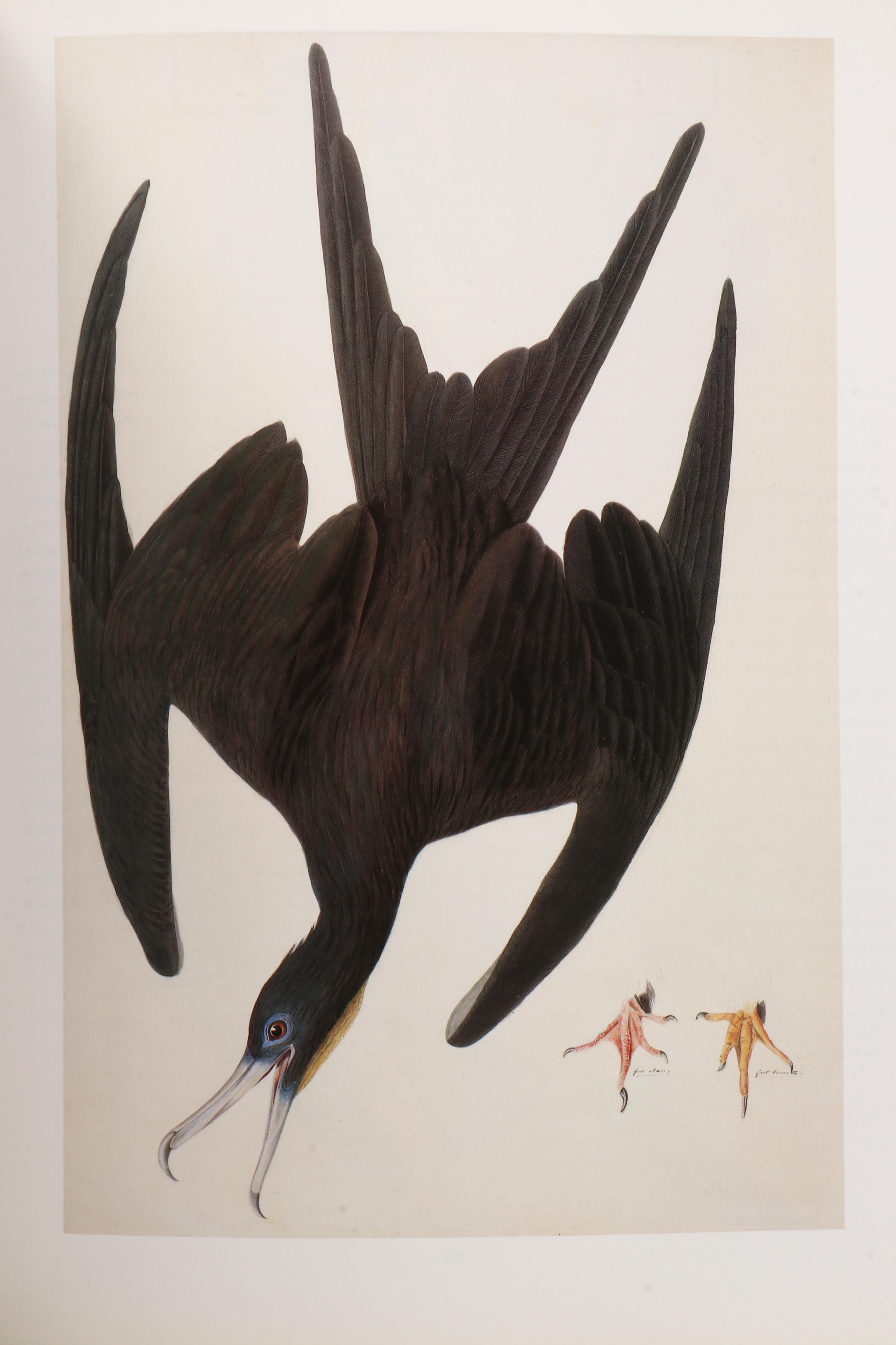 First Printing "John James Audubon: Watercolors for The Birds of America," 1993