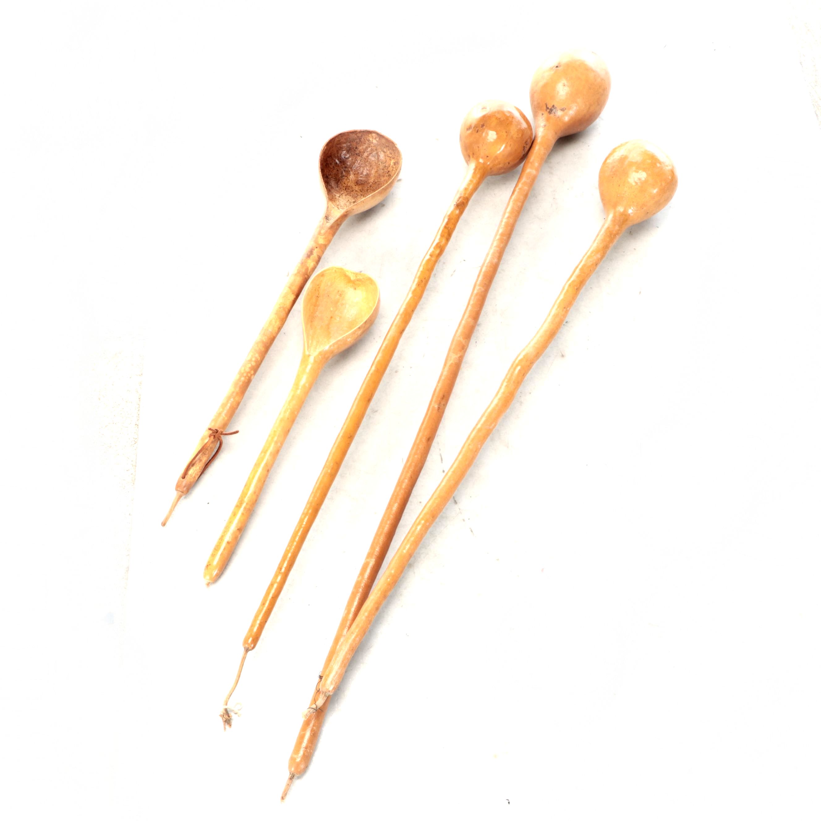 Dried Gourd Spoons and Other Natural Décor