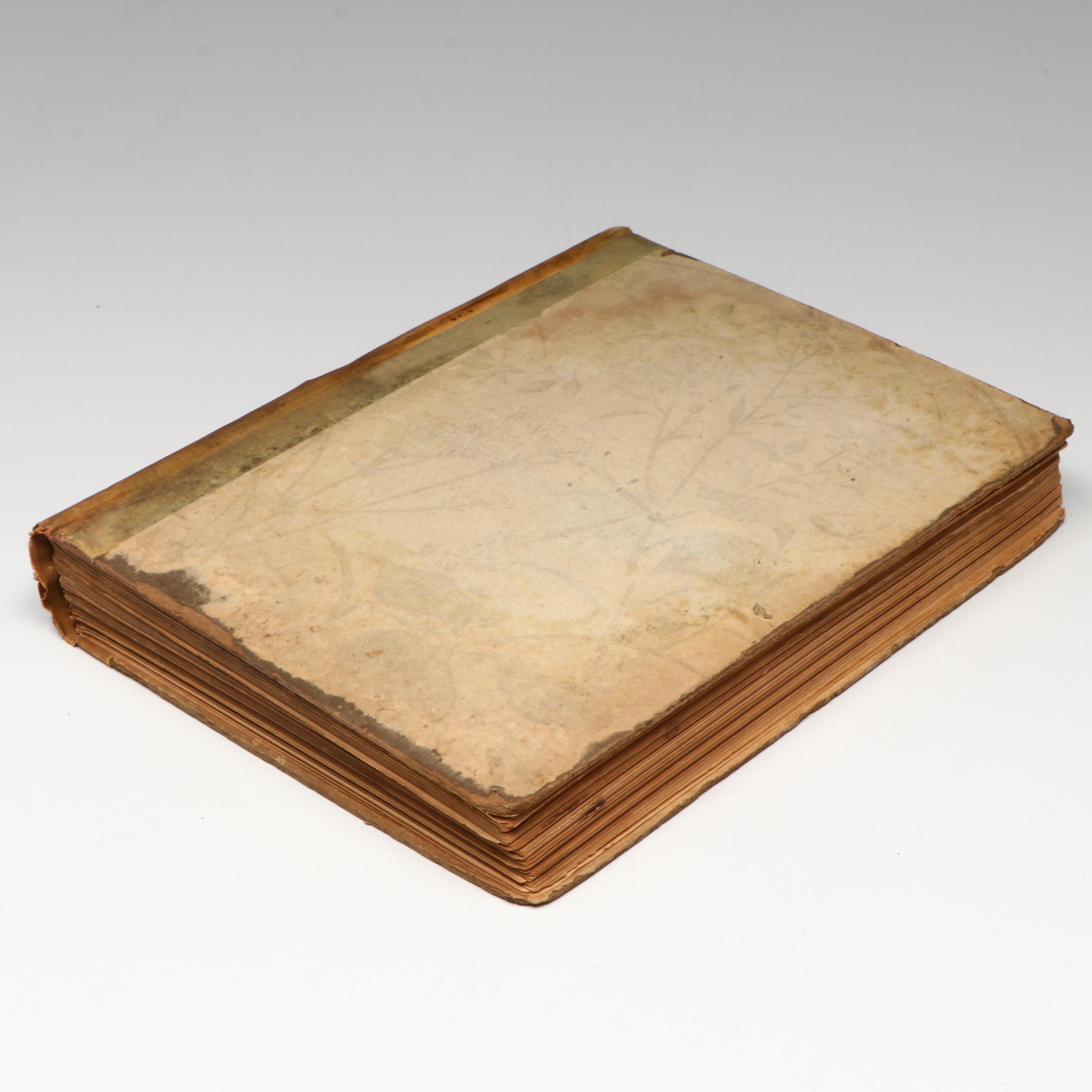 Arthur Rackham Illustrated "A Midsummer-Night's Dream" by William Shakespeare