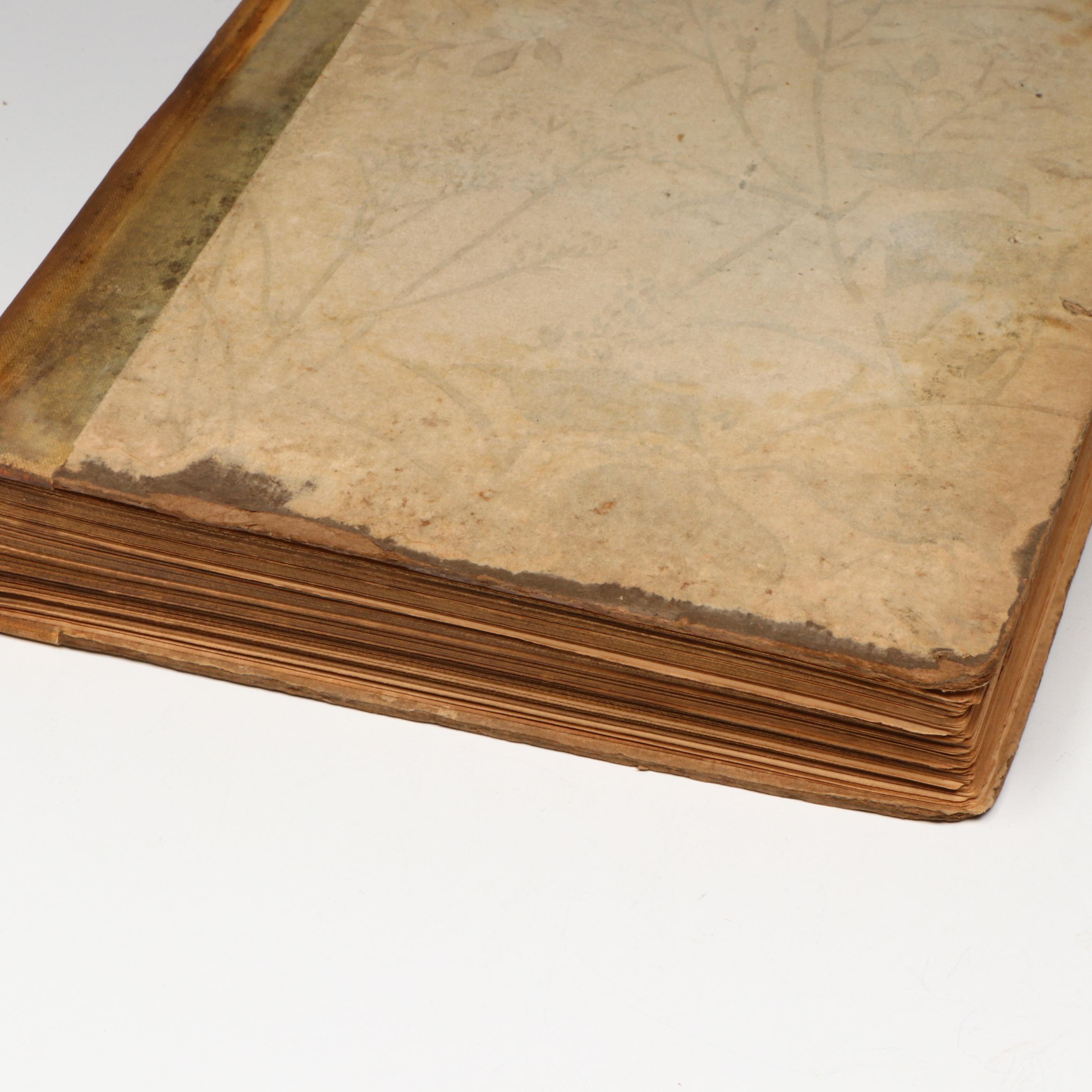 Arthur Rackham Illustrated "A Midsummer-Night's Dream" by William Shakespeare