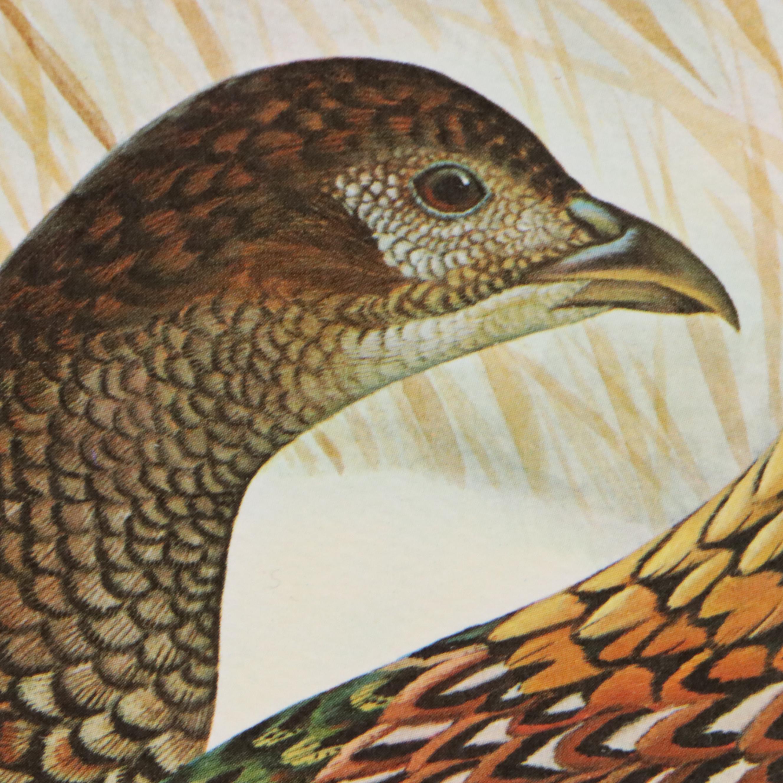 John Ruthven Offset Lithograph "Ring-necked Pheasant," 1966
