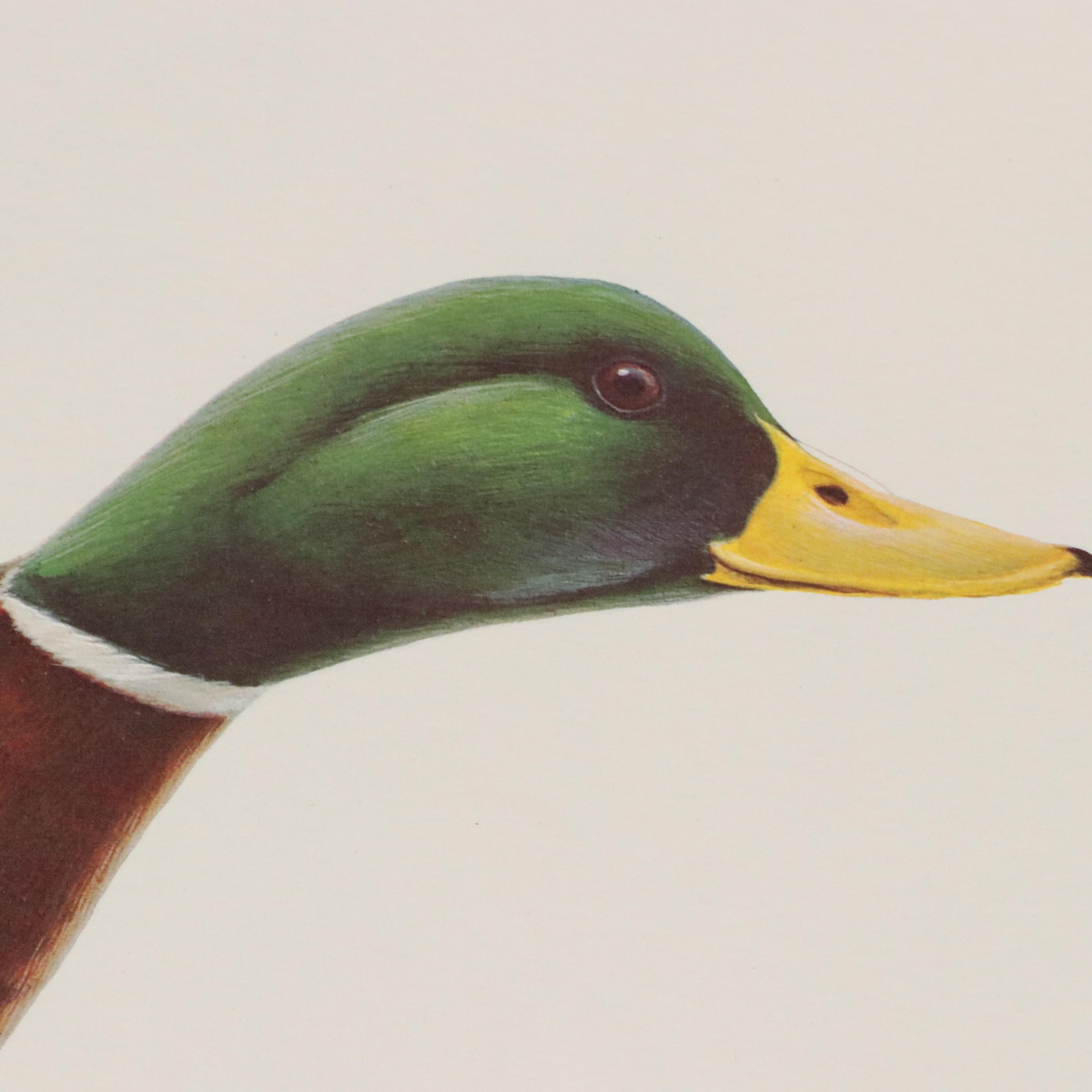 John Ruthven Offset Lithograph "Mallard," 1969