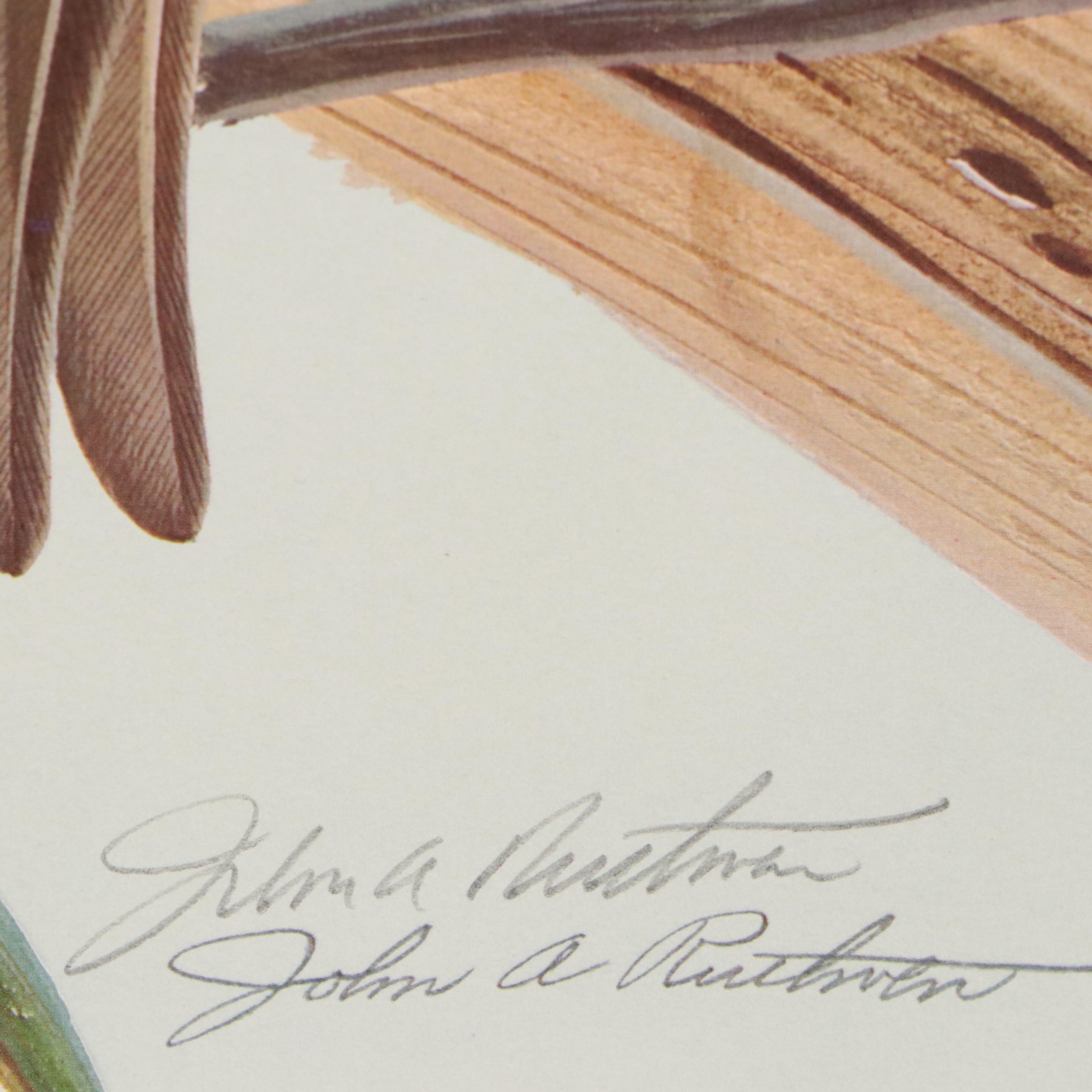 John Ruthven Offset Lithograph "Mallard," 1969