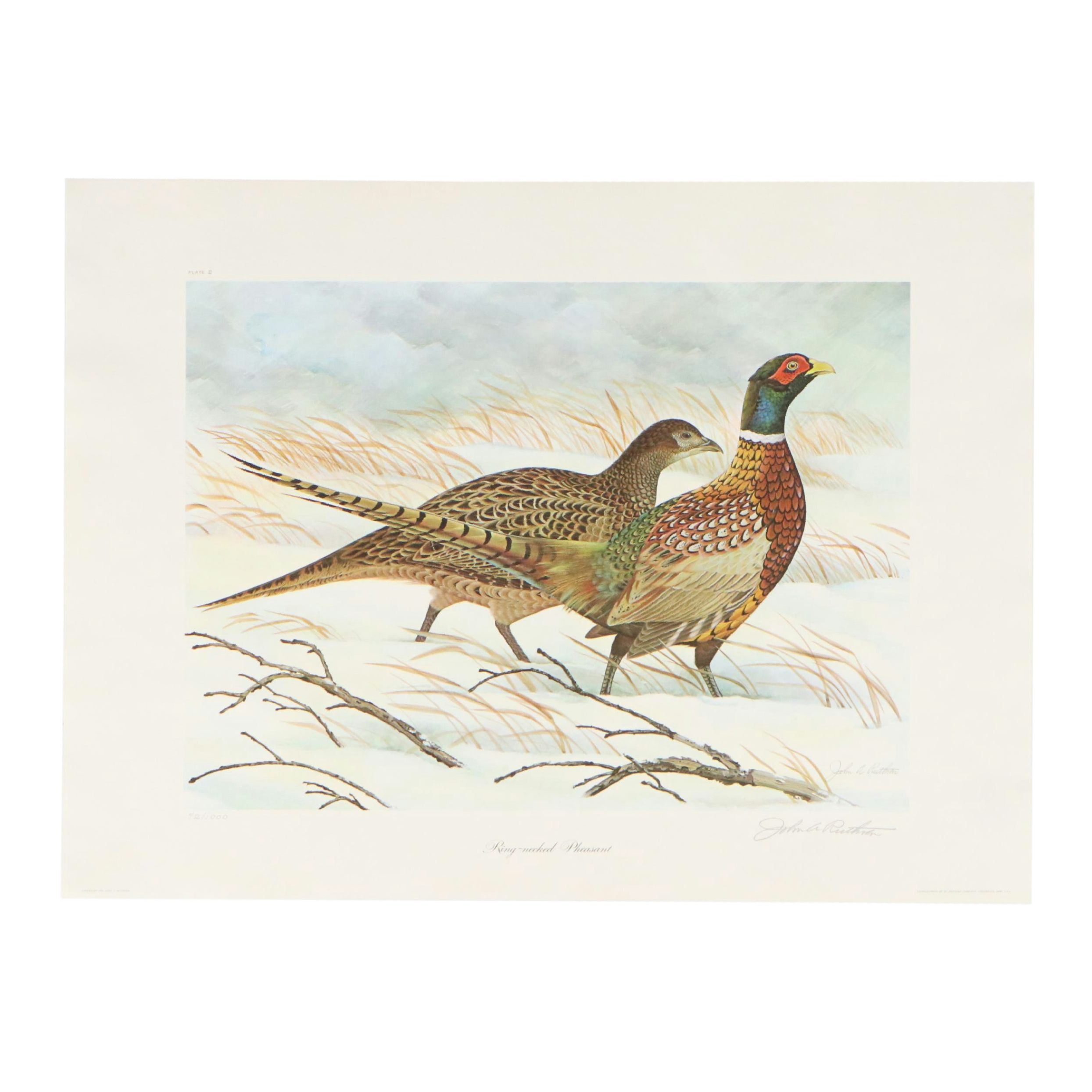 John Ruthven Offset Lithograph "Ring-necked Pheasant," 1966