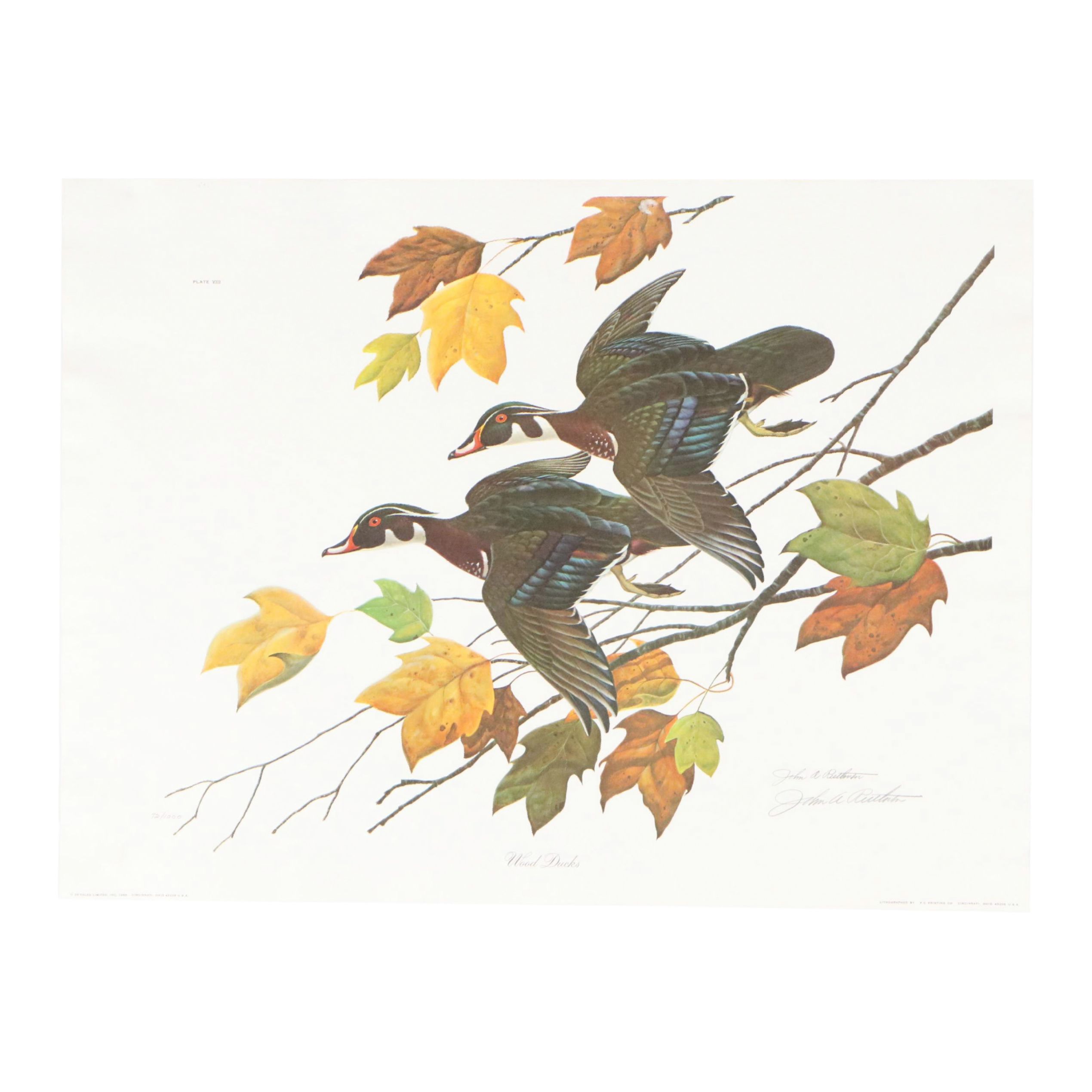John Ruthven Offset Lithograph "Wood Ducks"