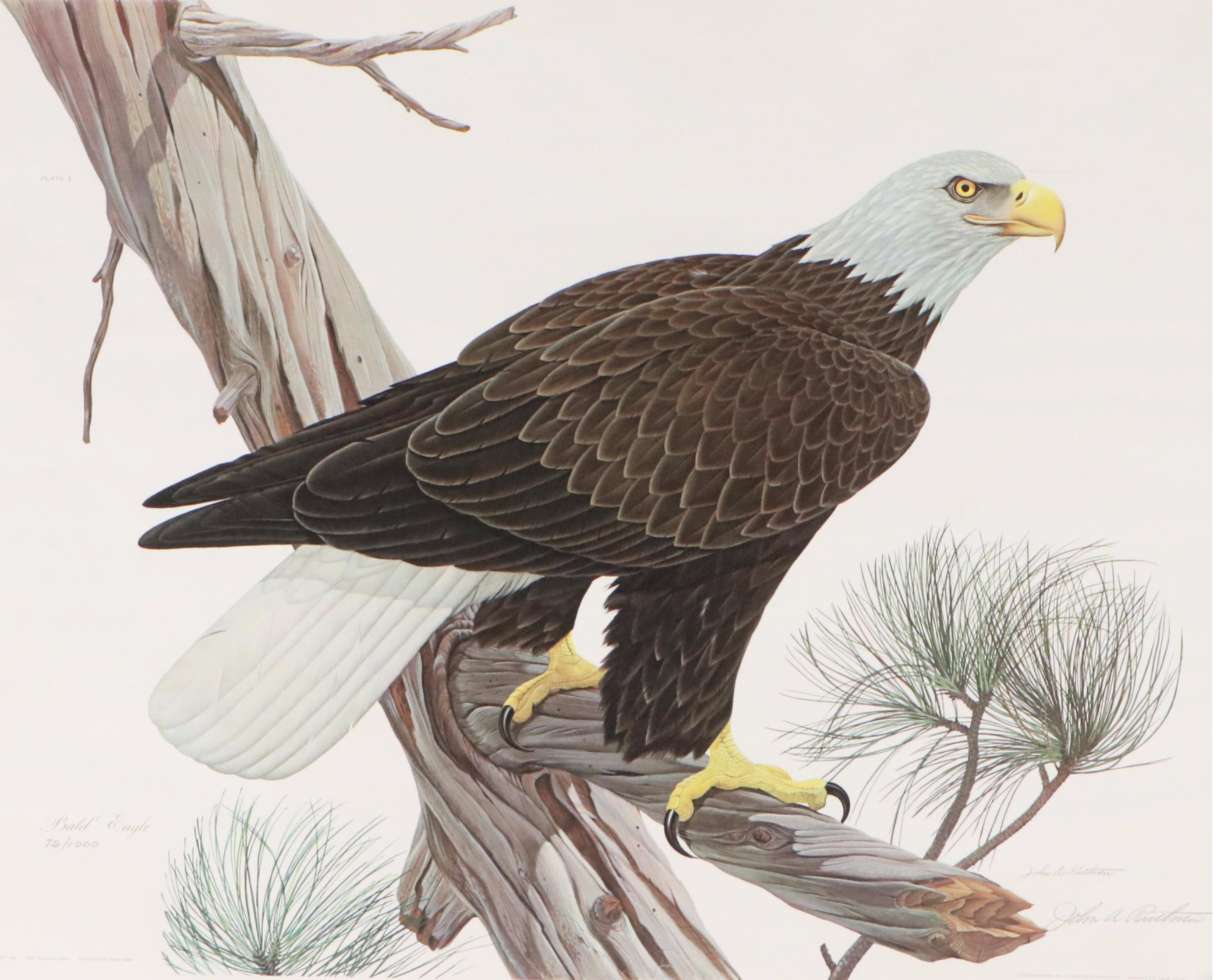 John Ruthven Offset Lithograph "Bald Eagle"