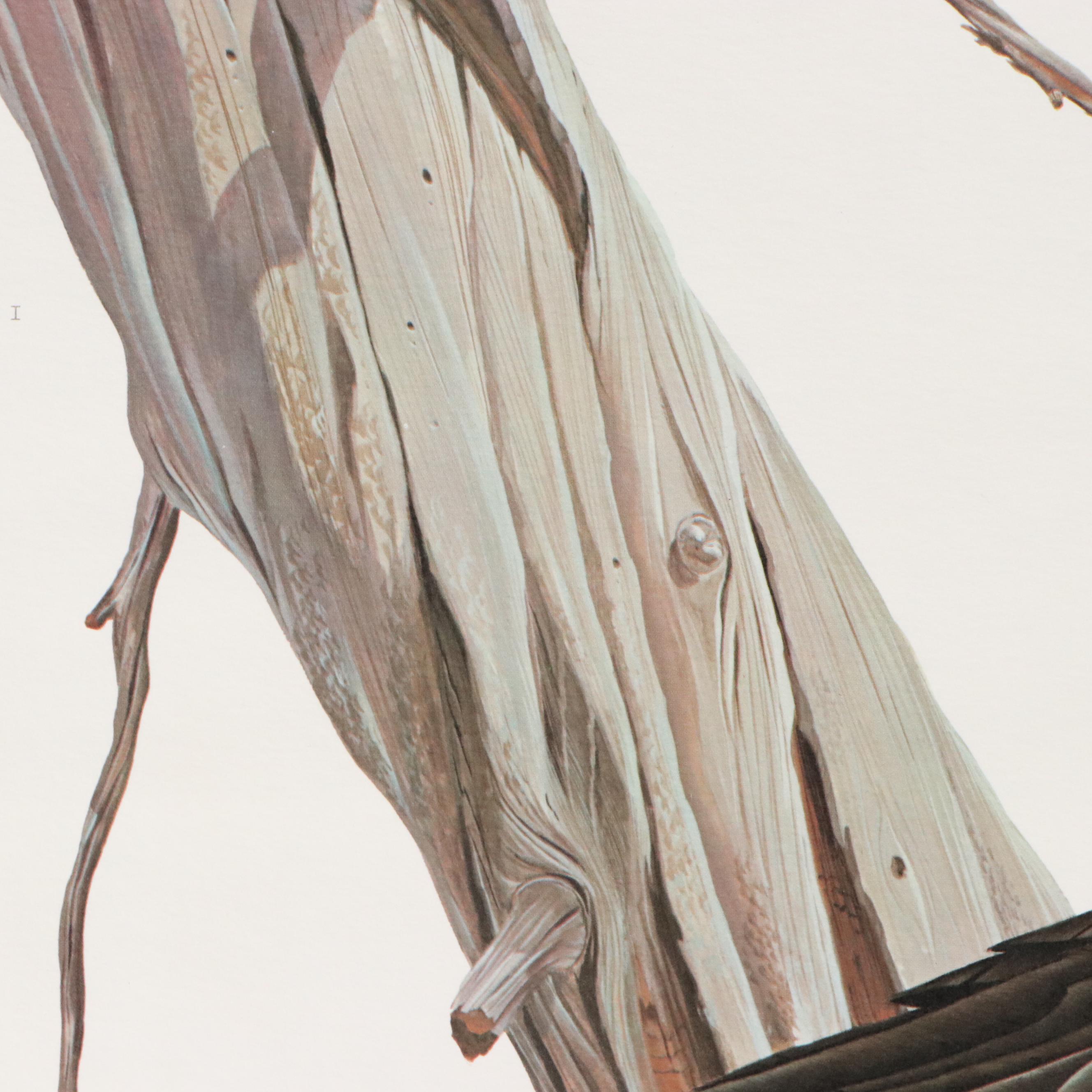 John Ruthven Offset Lithograph "Bald Eagle"