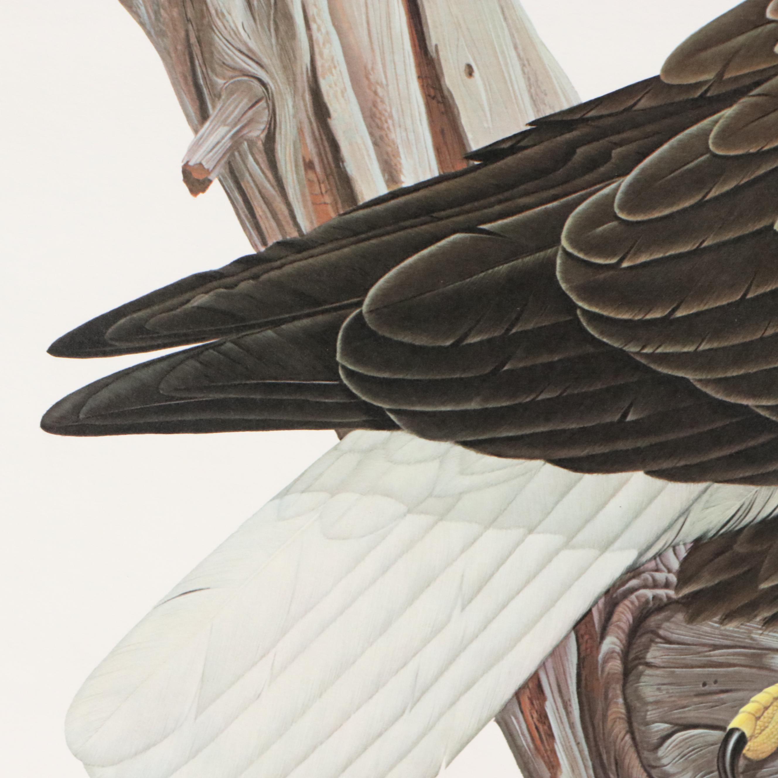 John Ruthven Offset Lithograph "Bald Eagle"