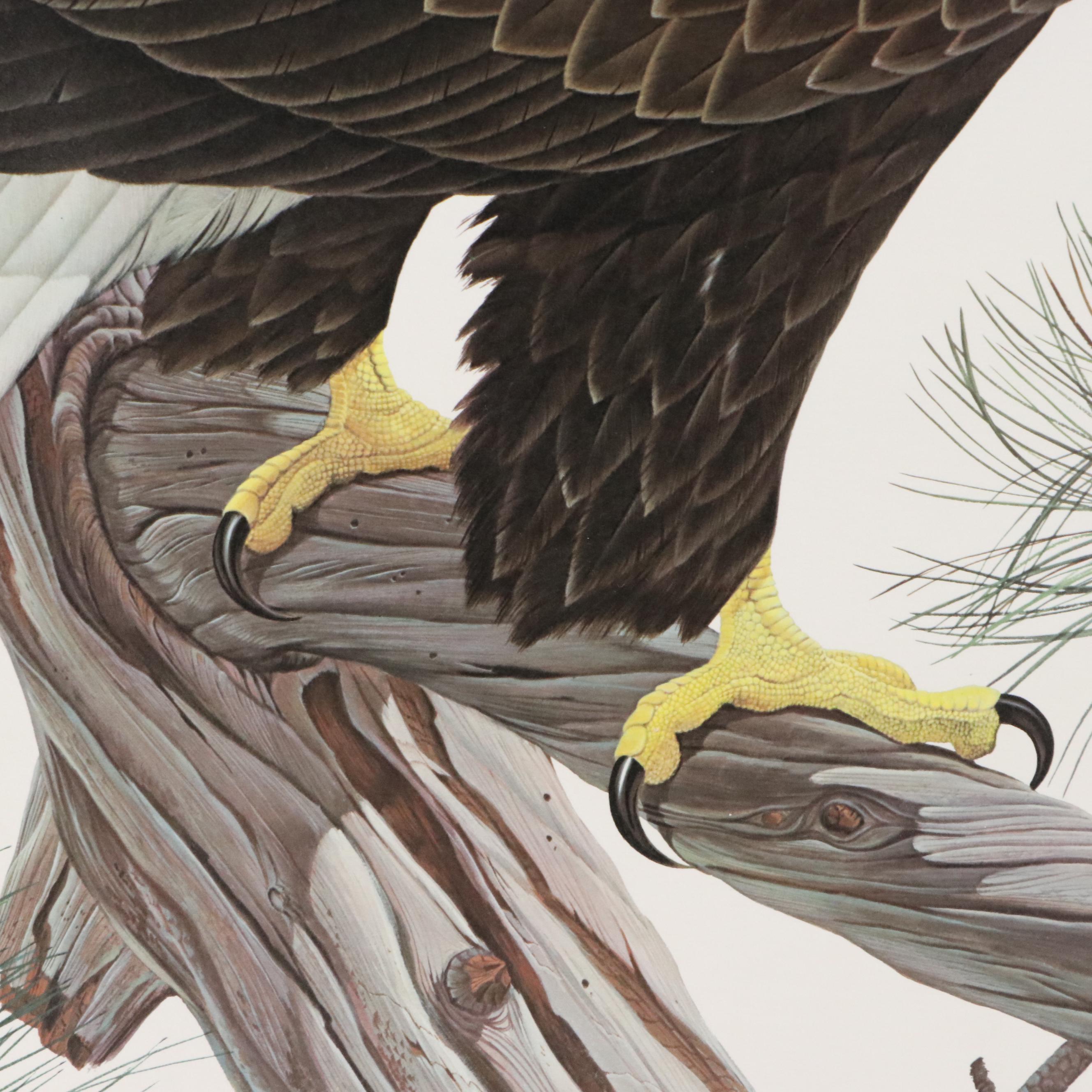John Ruthven Offset Lithograph "Bald Eagle"
