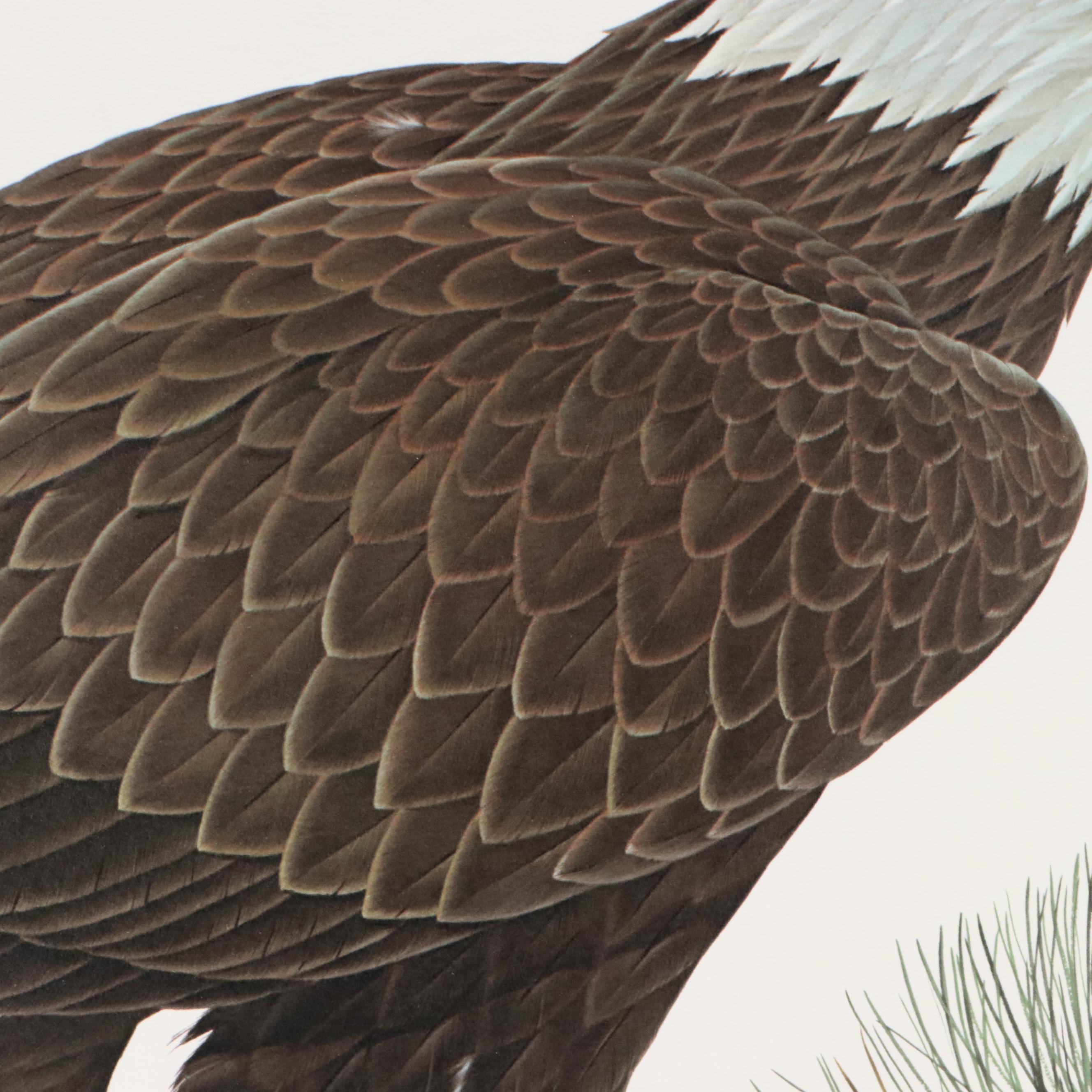 John Ruthven Offset Lithograph "Bald Eagle"