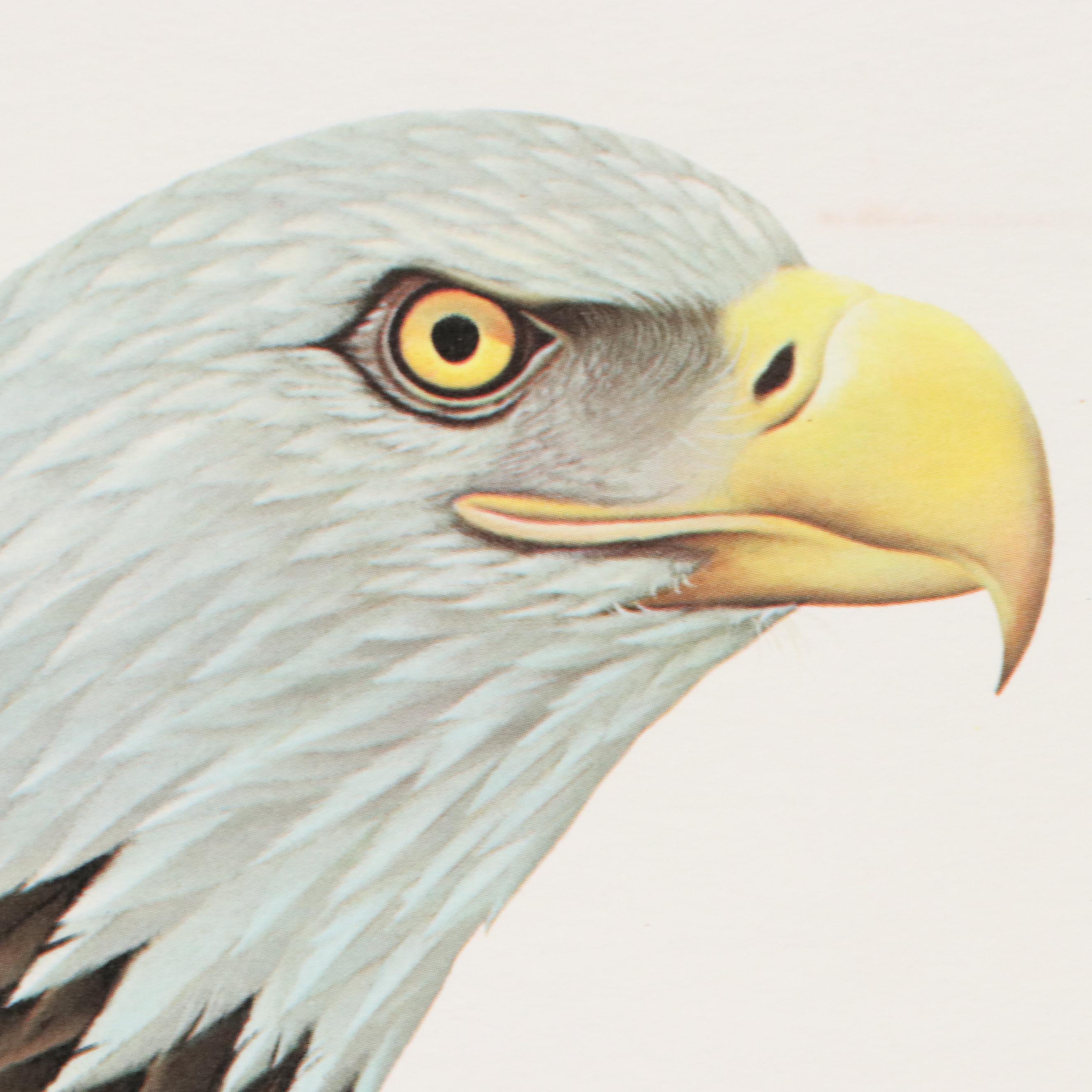 John Ruthven Offset Lithograph "Bald Eagle"