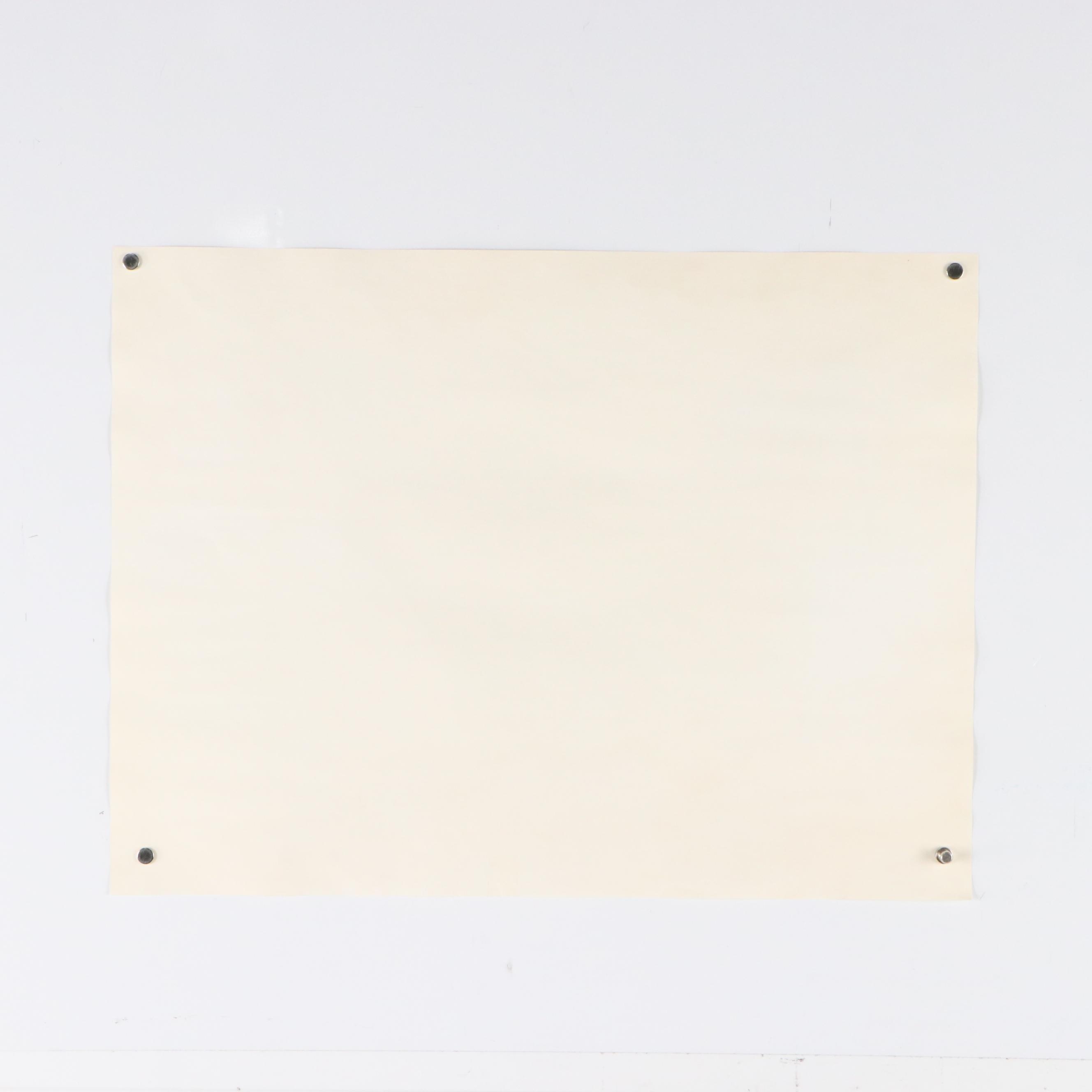 John Ruthven Offset Lithograph "Bald Eagle"