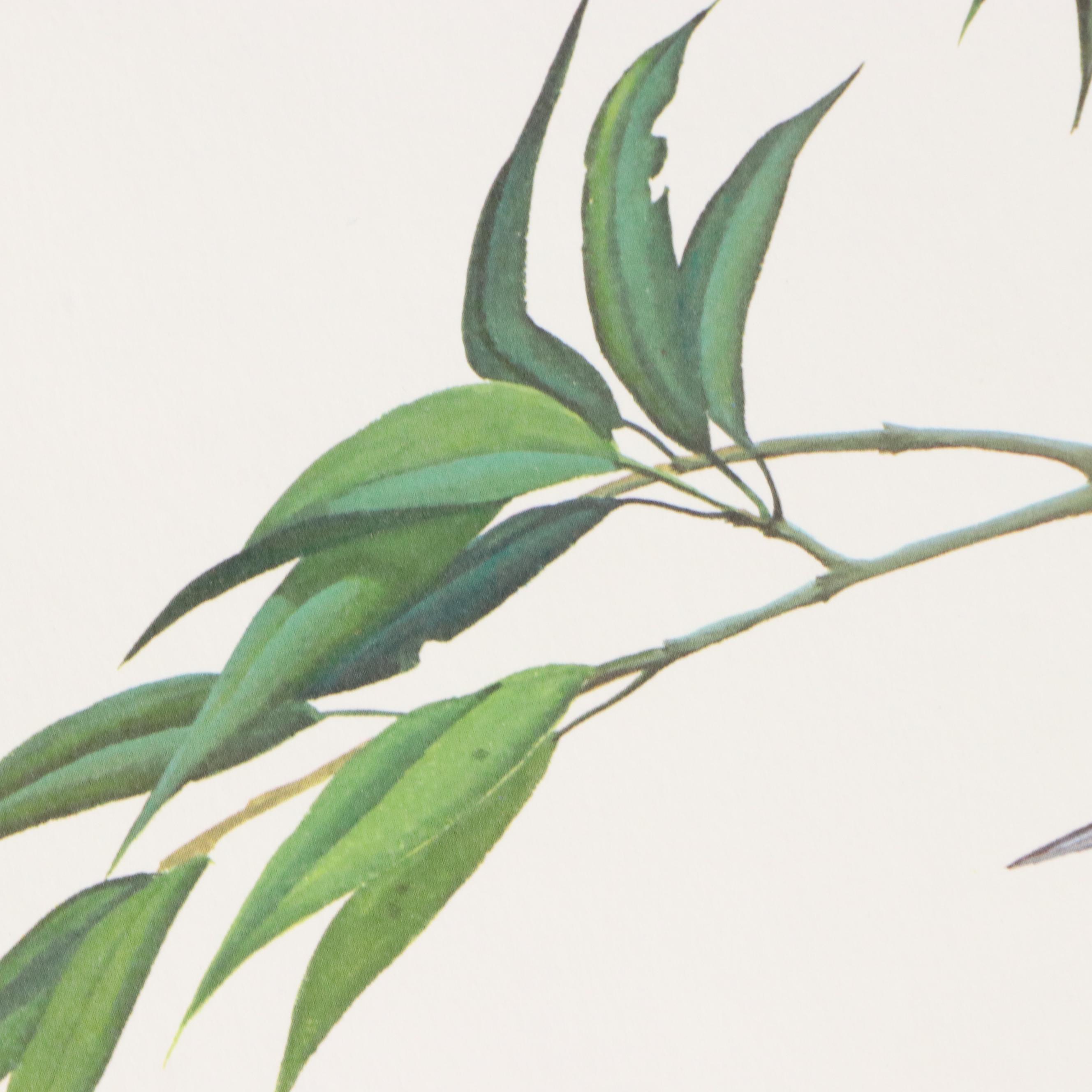 John Ruthven Offset Lithograph "Eastern Bluebirds"