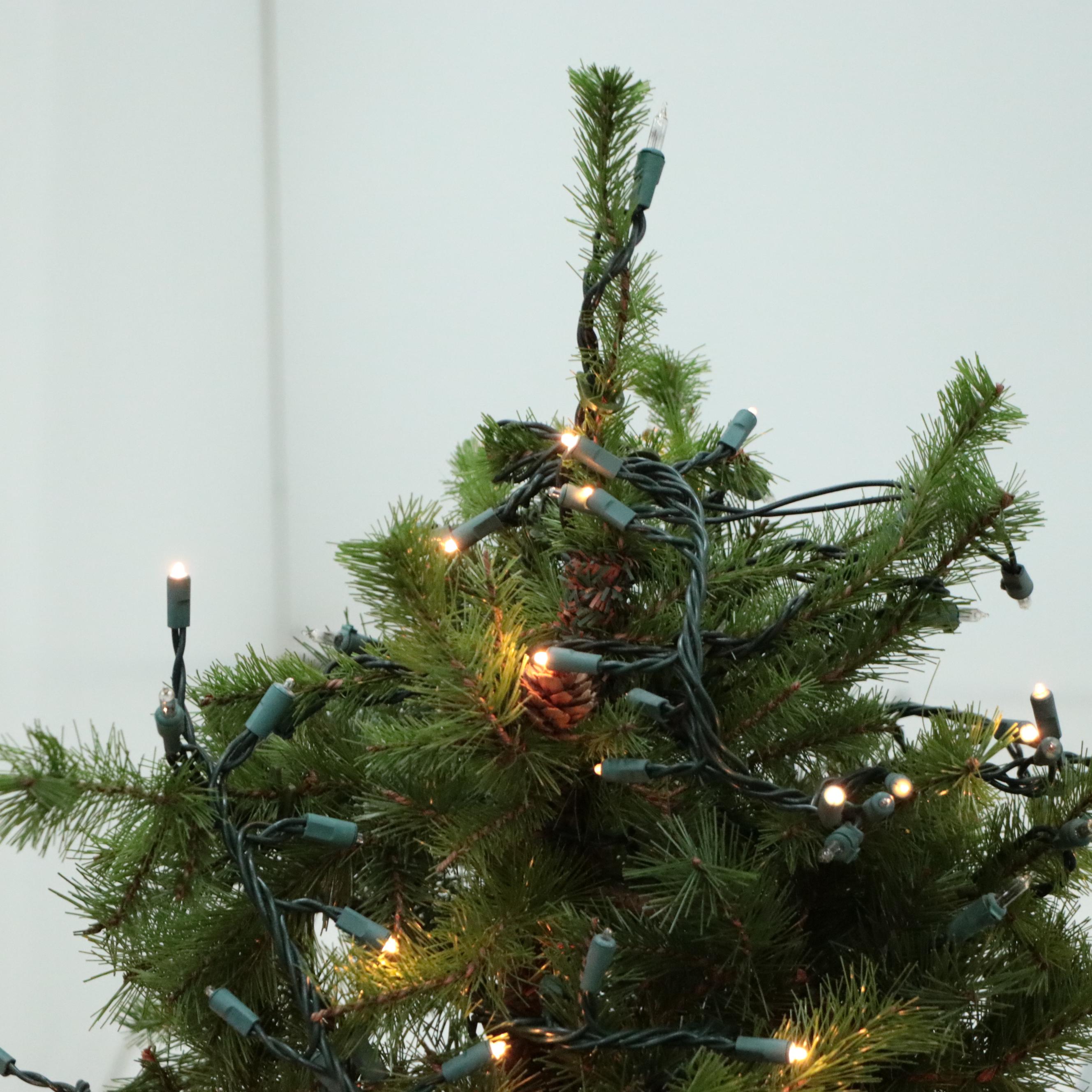 Folk Art Wood Reindeer with Illuminated Tabletop Christmas Trees