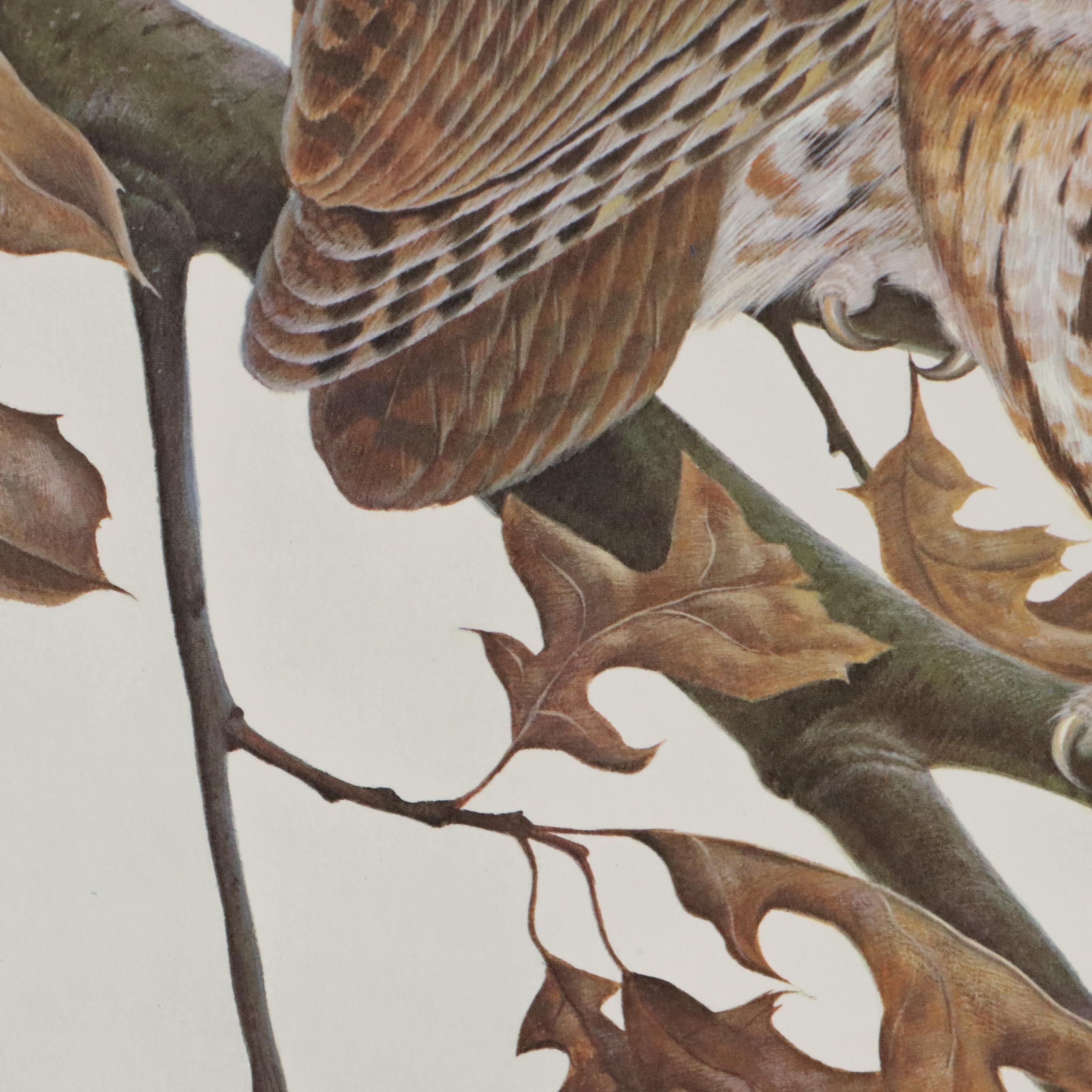 John A. Ruthven Offset Lithograph "Screech Owls," 1968