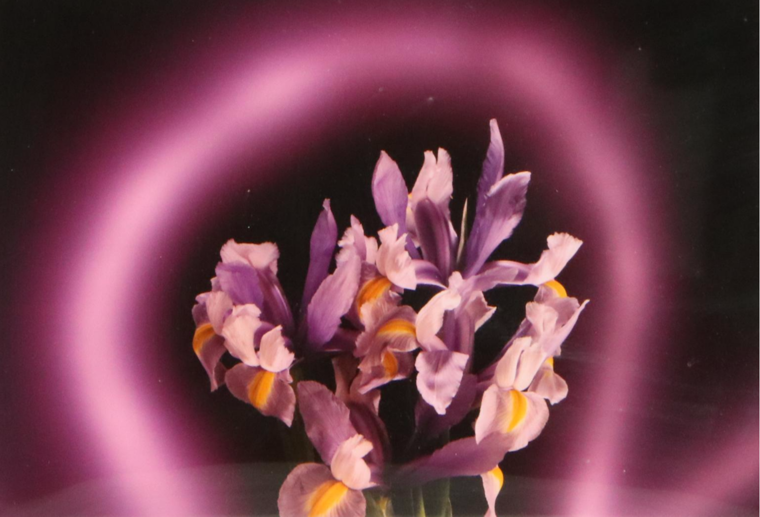 Cincinnati Artist Collection Featuring John Vonder Meulen Watercolor