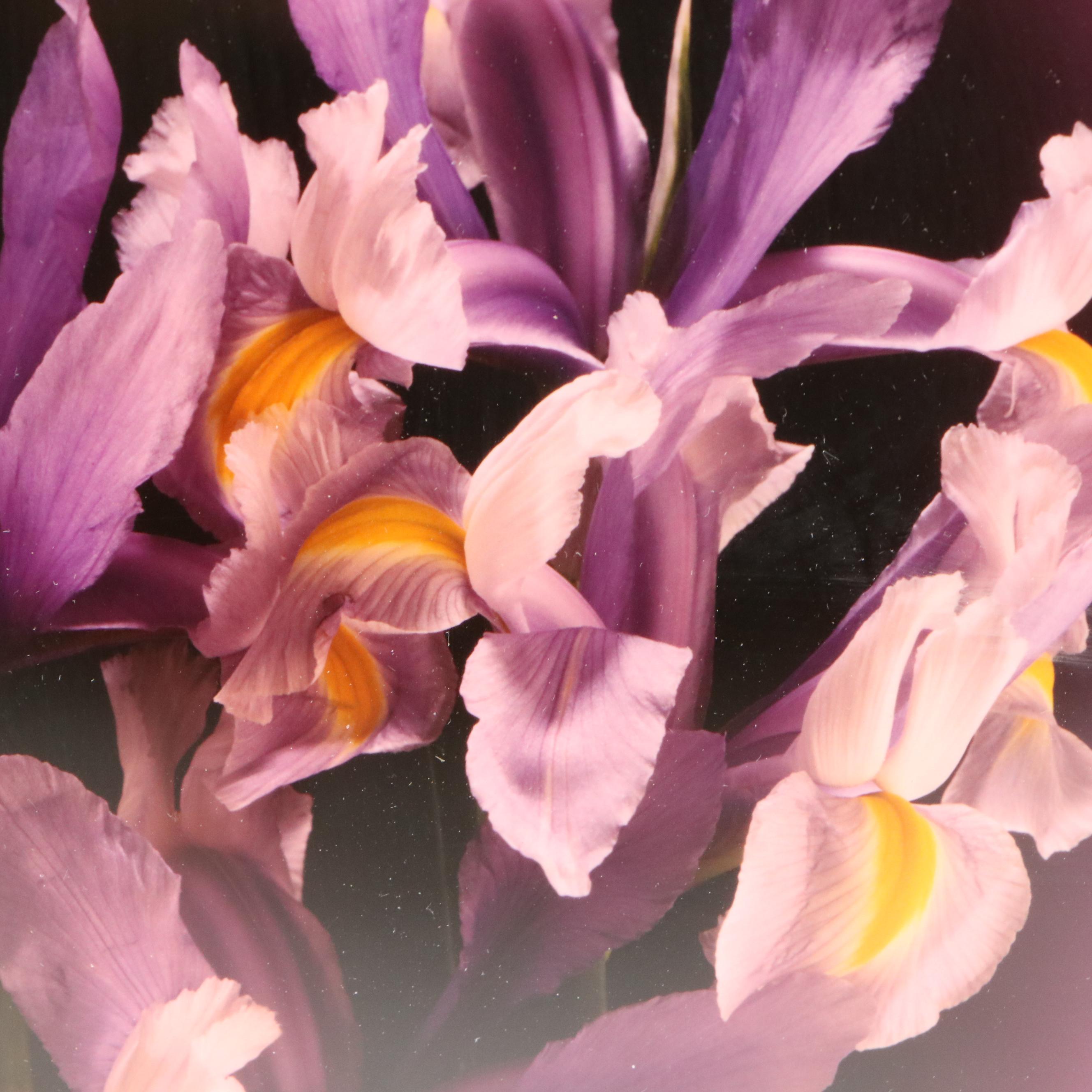 Cincinnati Artist Collection Featuring John Vonder Meulen Watercolor