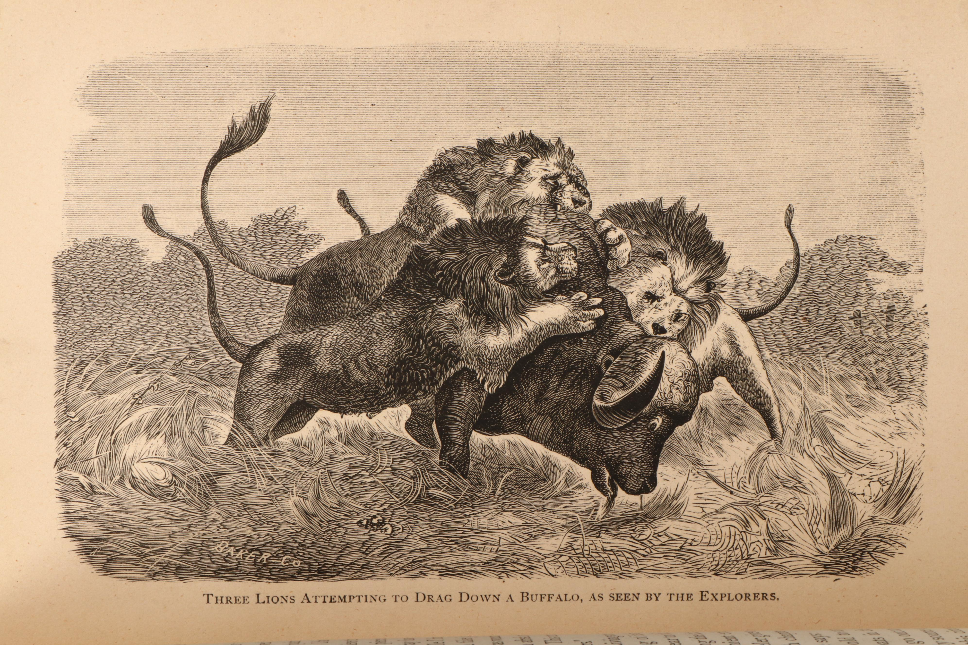 Illustrated "Explorations in Africa" by David Livingstone with Map, 1872