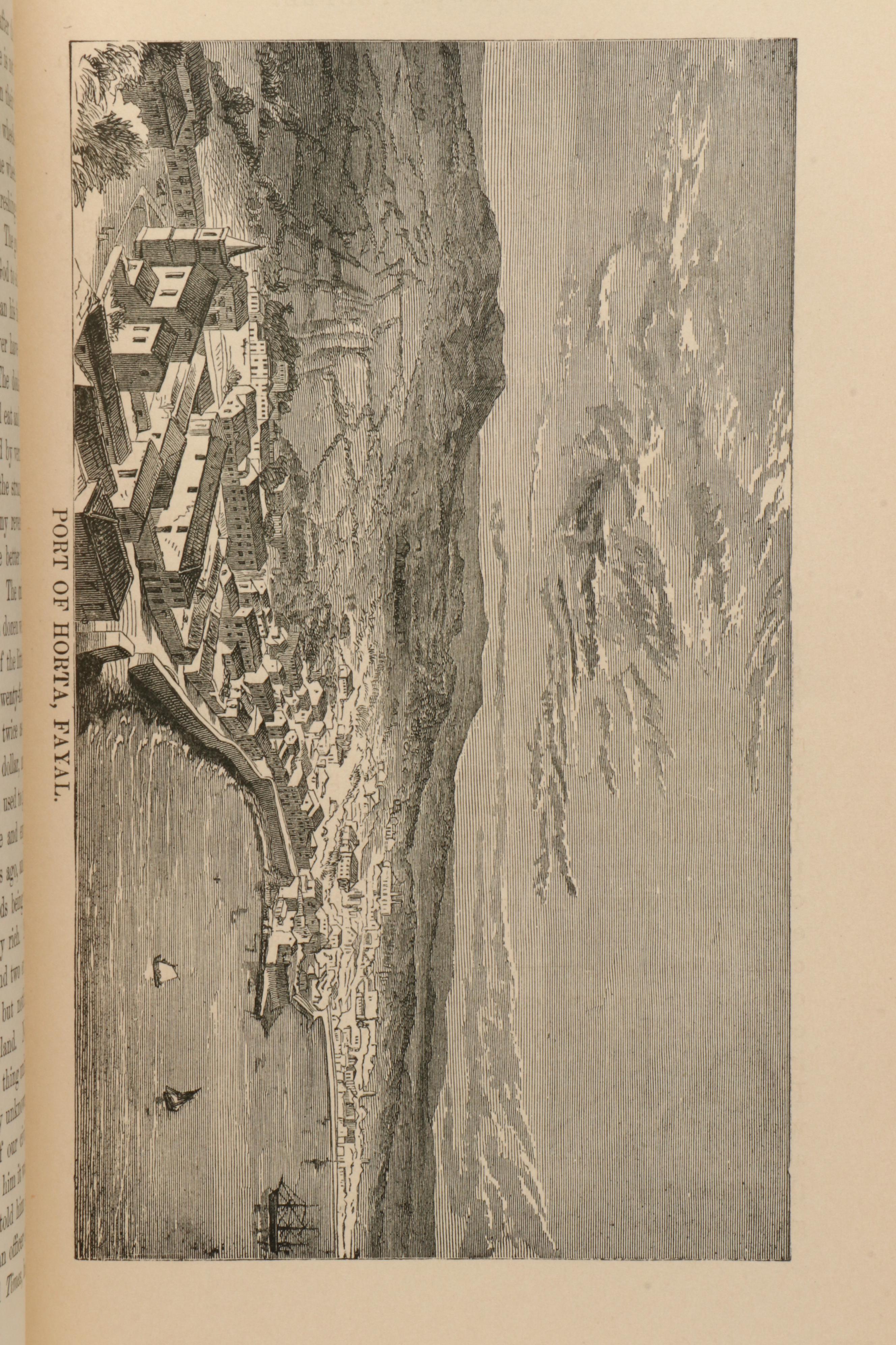 "The Innocents Abroad, or The New Pilgrims' Progress" by Mark Twain, 1895