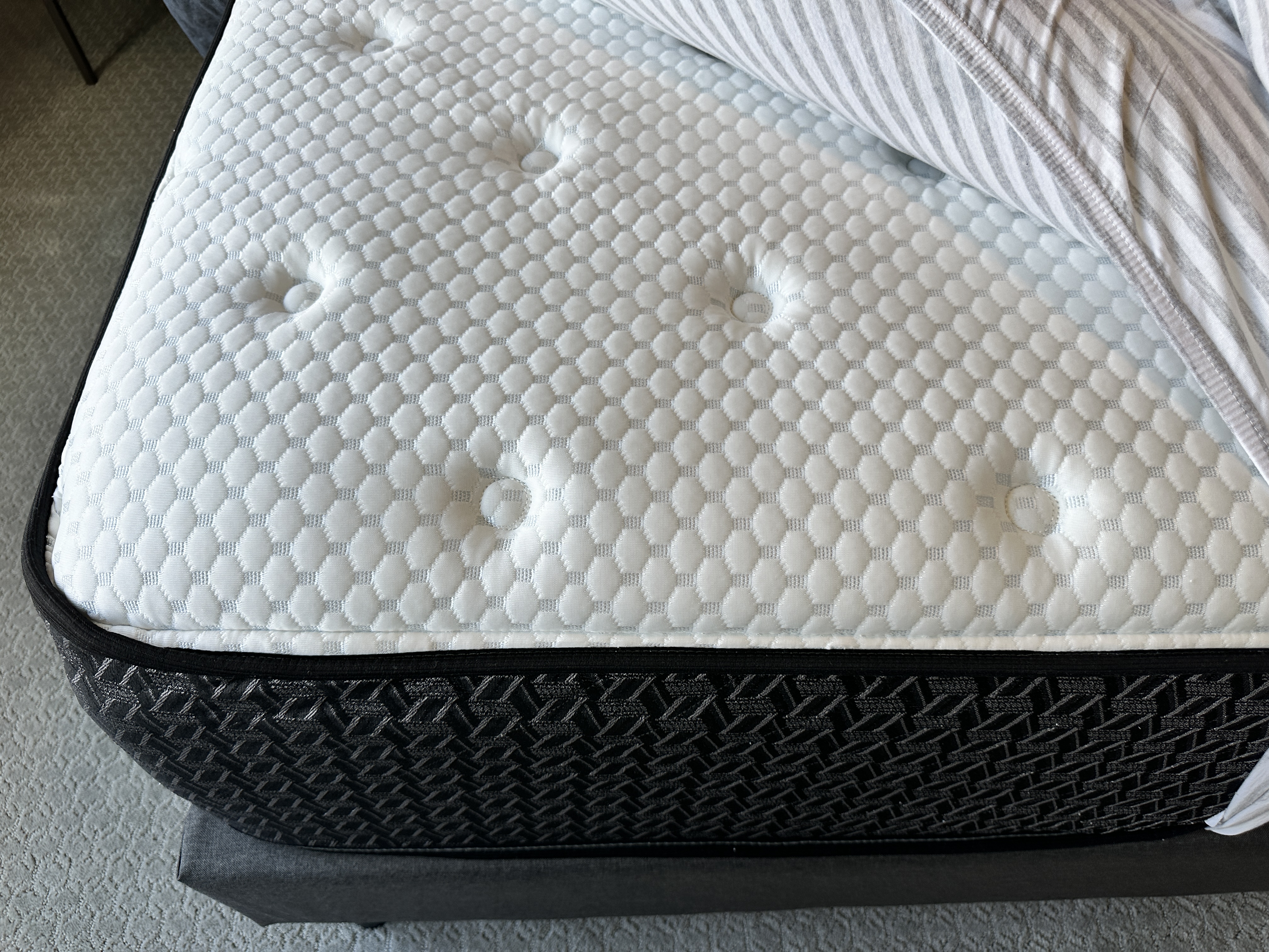 Contemporary Fabric Upholstered Queen Size Platform Bed