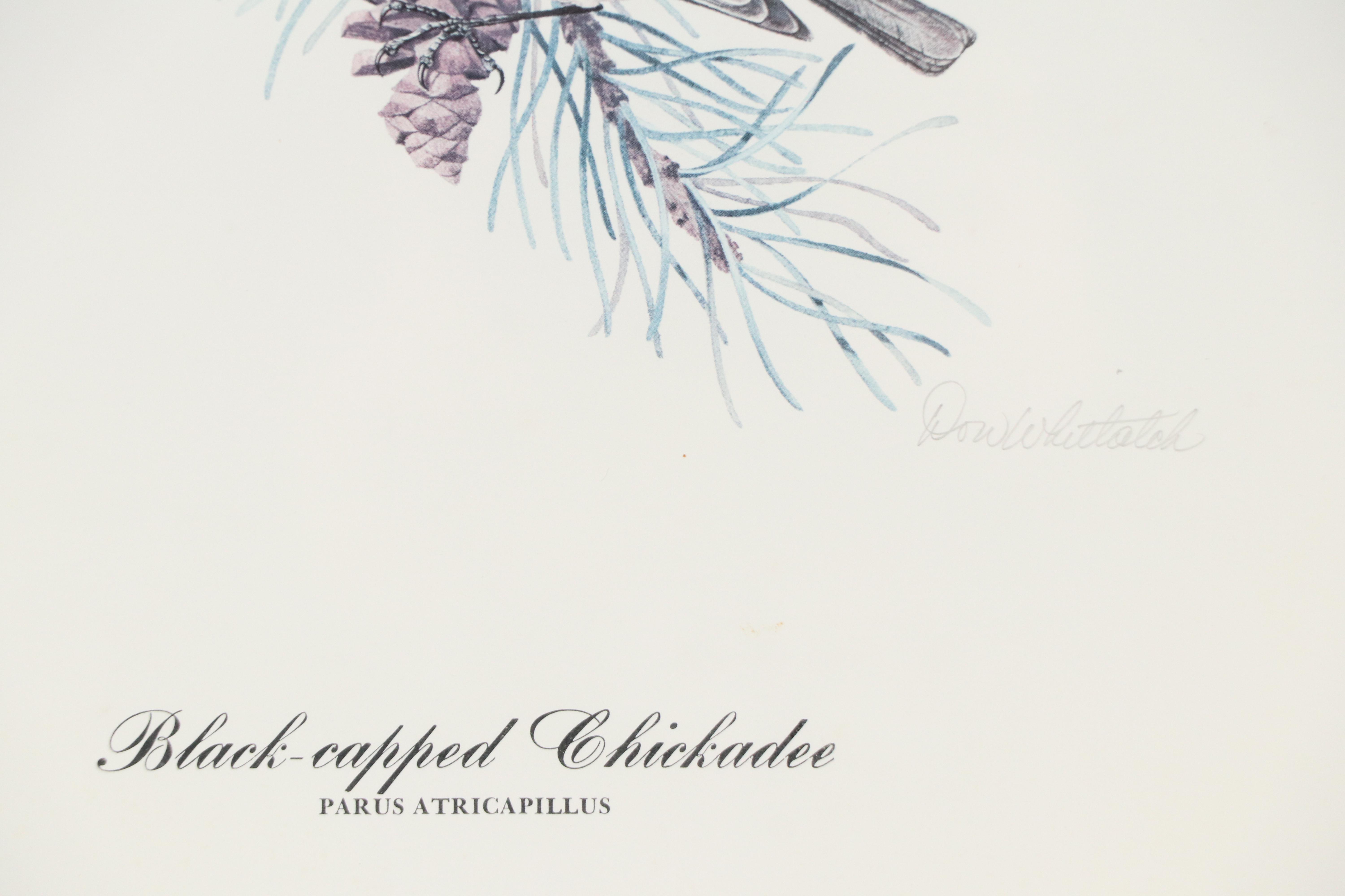 Don Whitlatch Offset Lithograph "Black-capped Chickadee," Late 20th Century