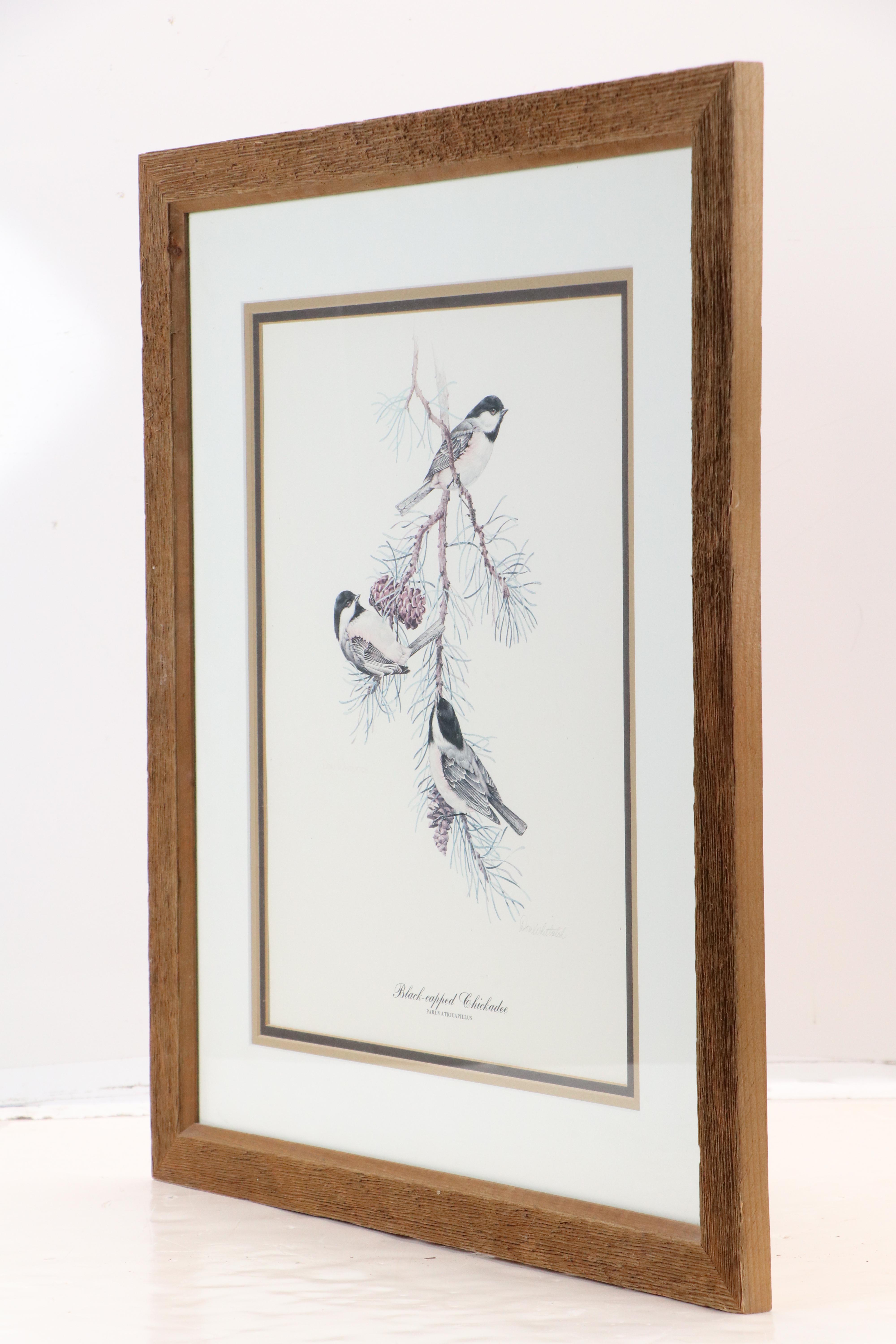 Don Whitlatch Offset Lithograph "Black-capped Chickadee," Late 20th Century