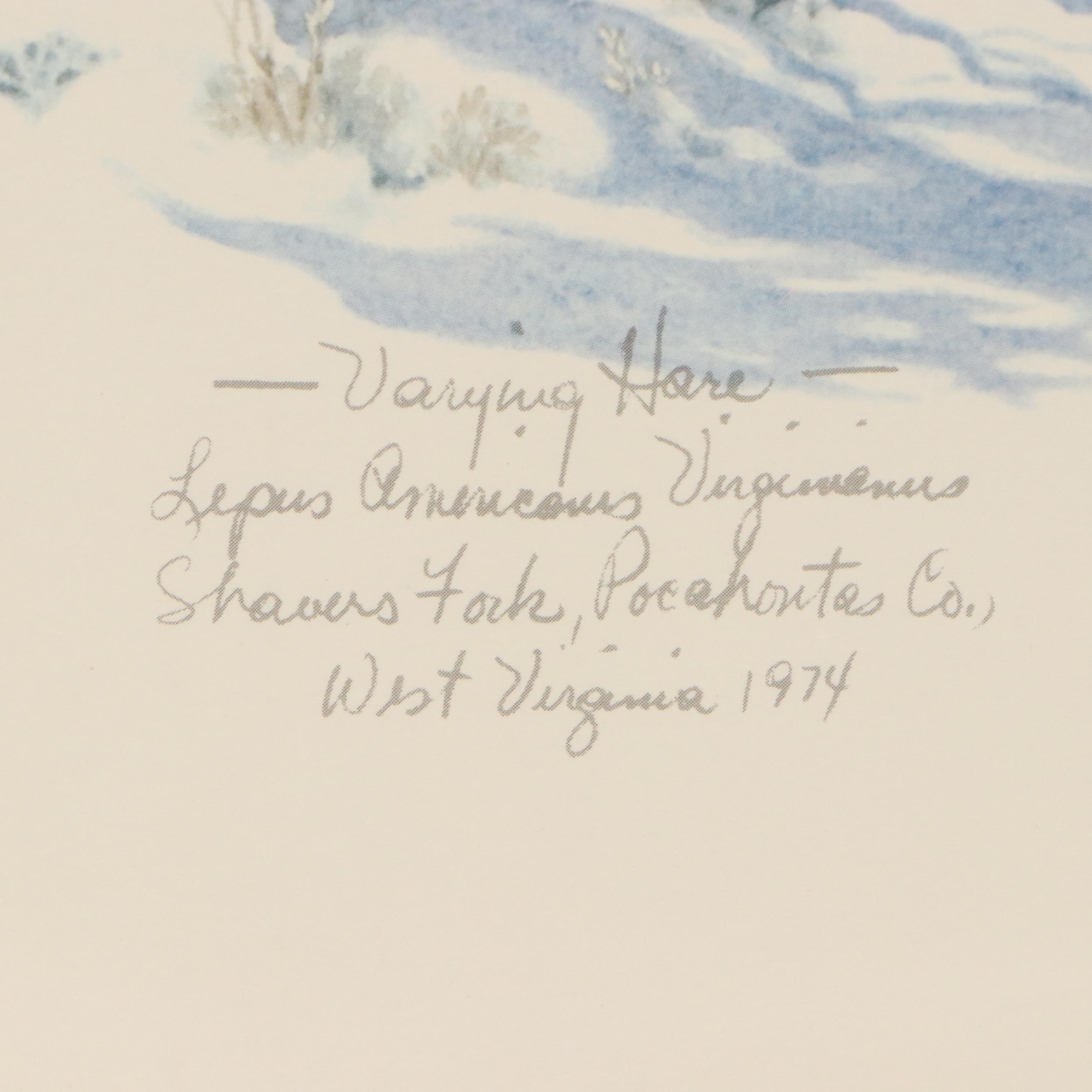 Don Whitlatch Offset Lithograph "Snowshoe Hare," Late 20th Century