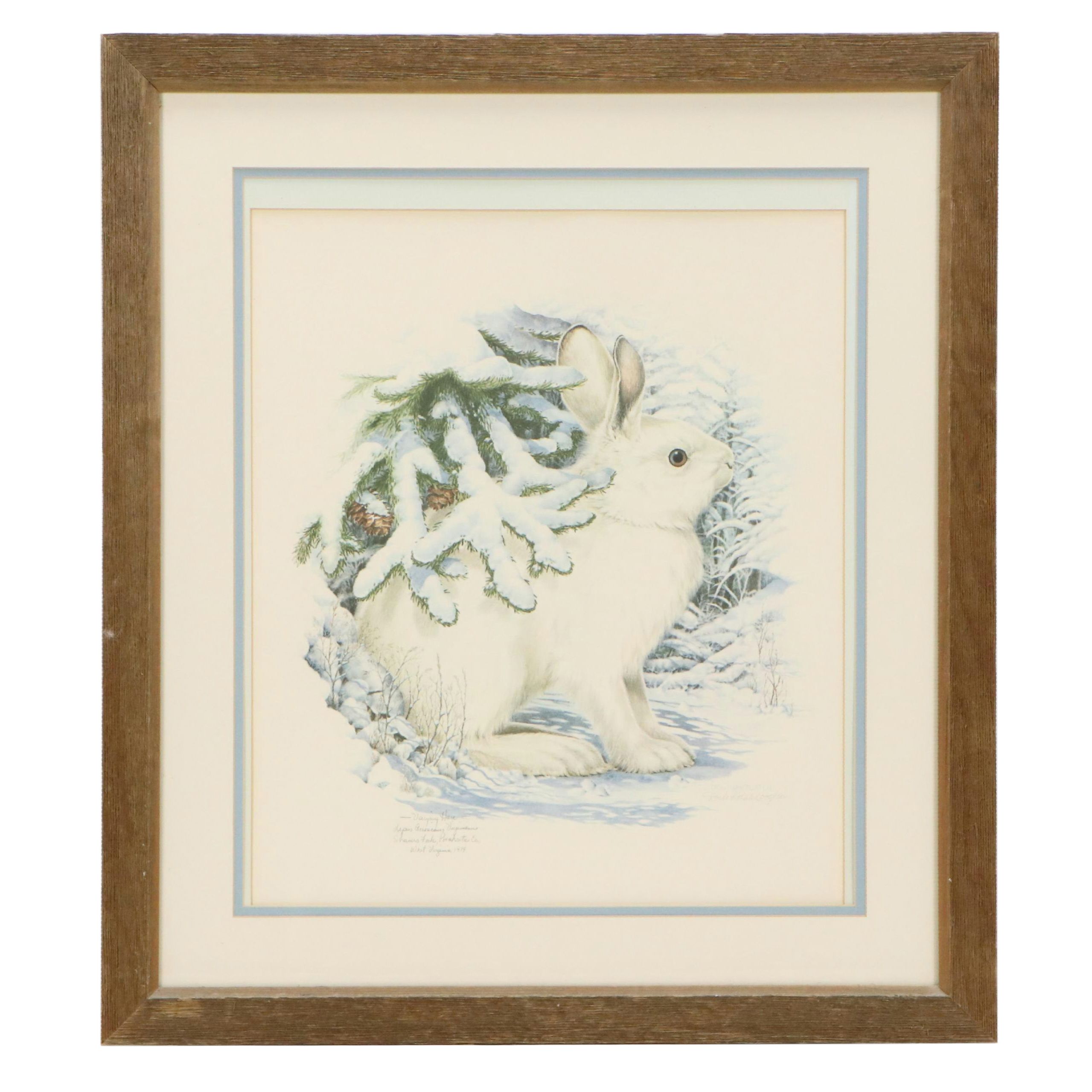 Don Whitlatch Offset Lithograph "Snowshoe Hare," Late 20th Century