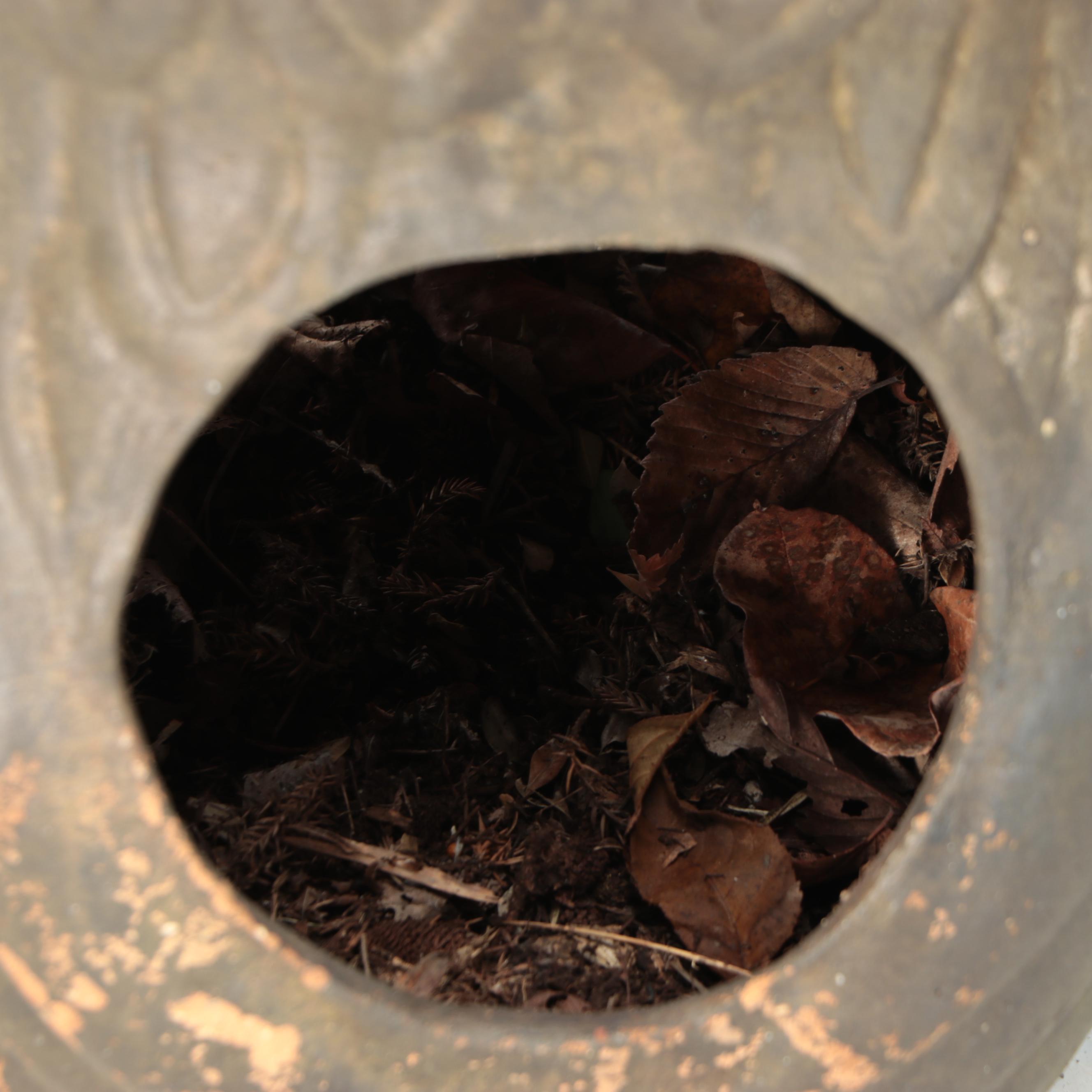 Terracotta Owl Luminary or Planter