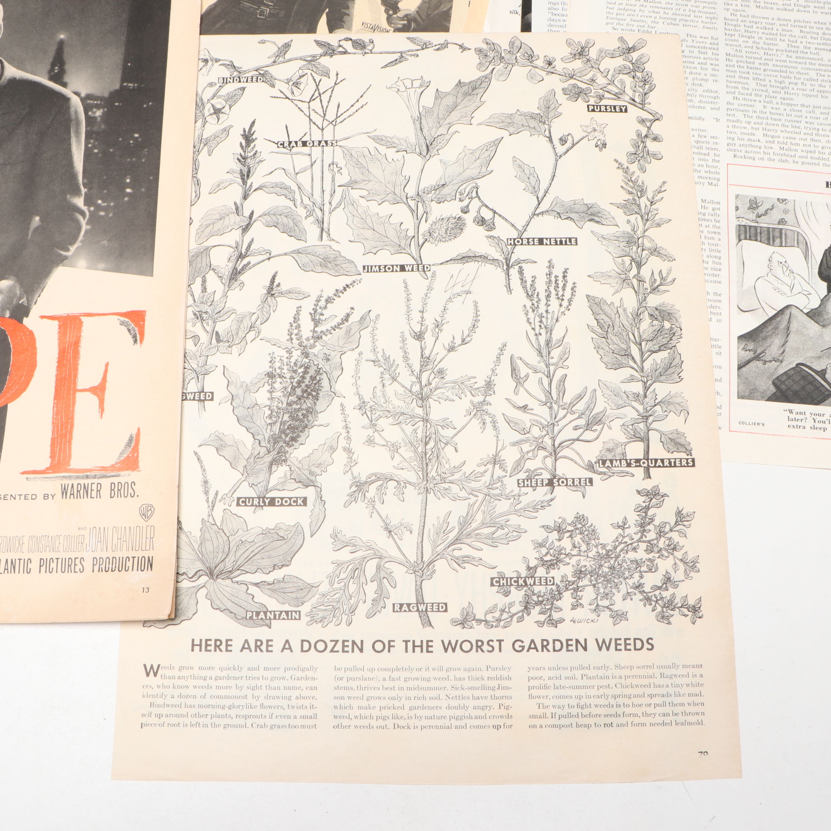 "Scarlet Street" and Other Movie Advertisement Pages, Mid-20th Century